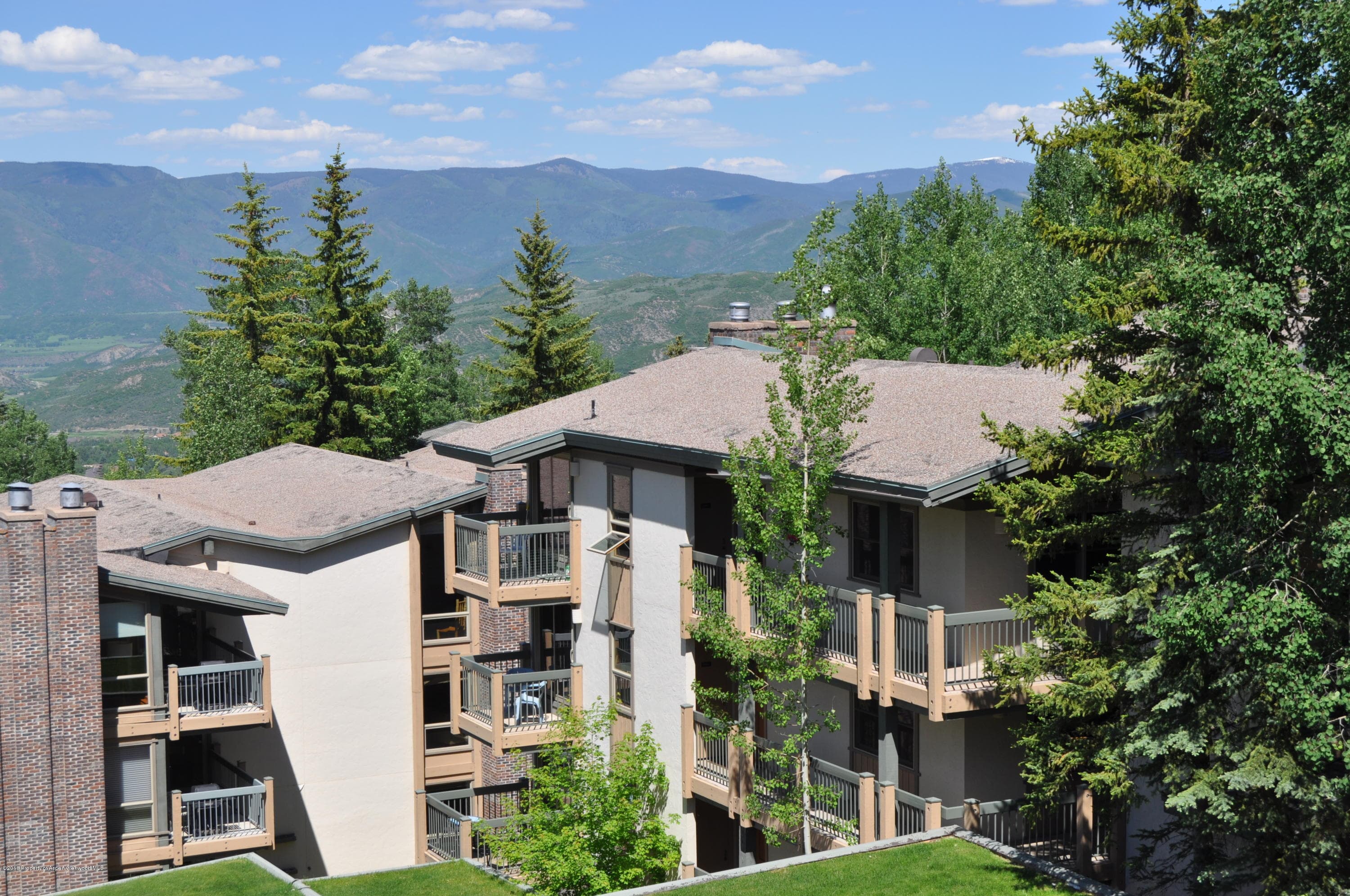 855 Carriage Way Slope #201, Snowmass Village, CO 81615 - Photo 45