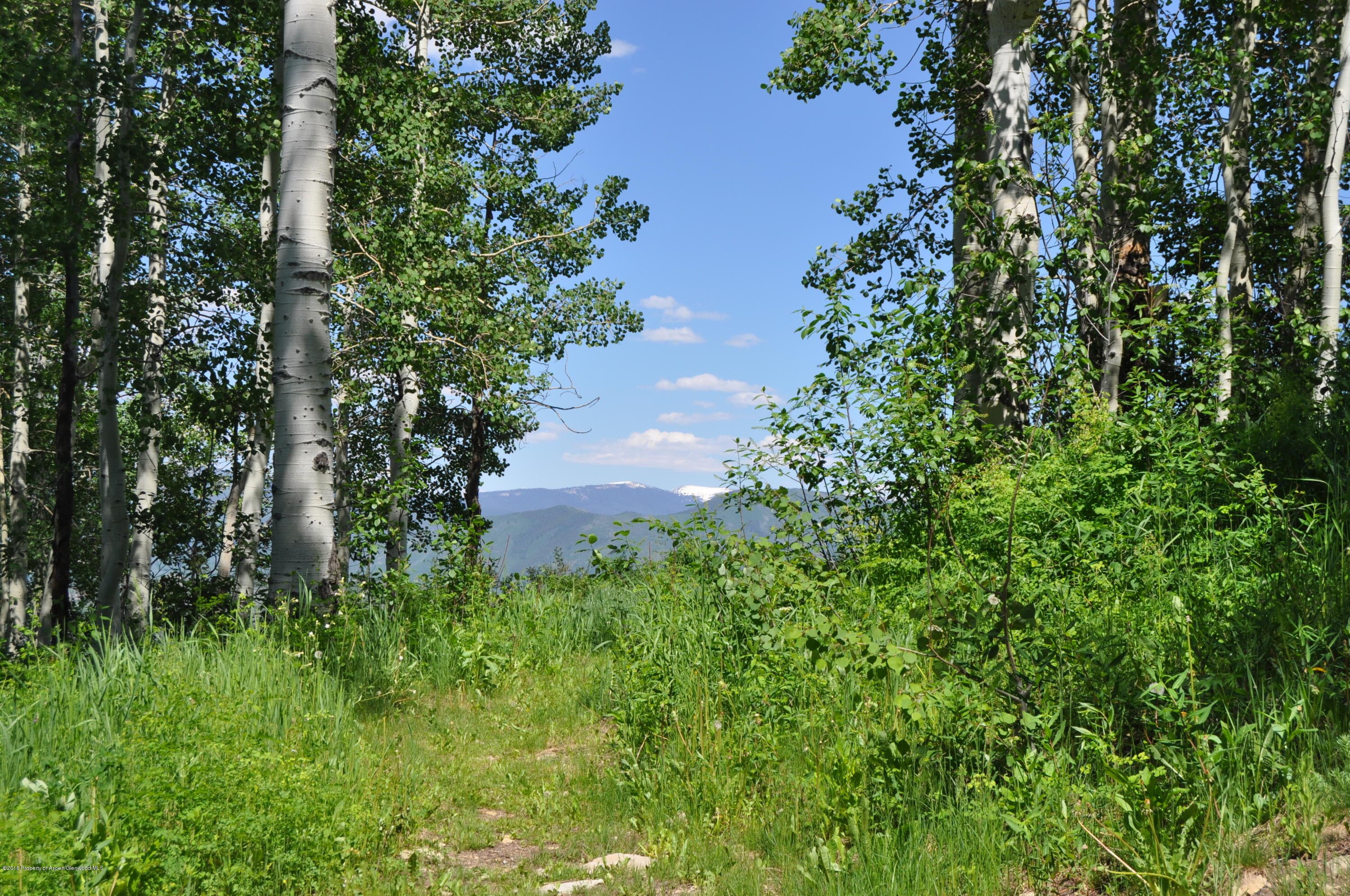 855 Carriage Way Slope #201, Snowmass Village, CO 81615 - Photo 46