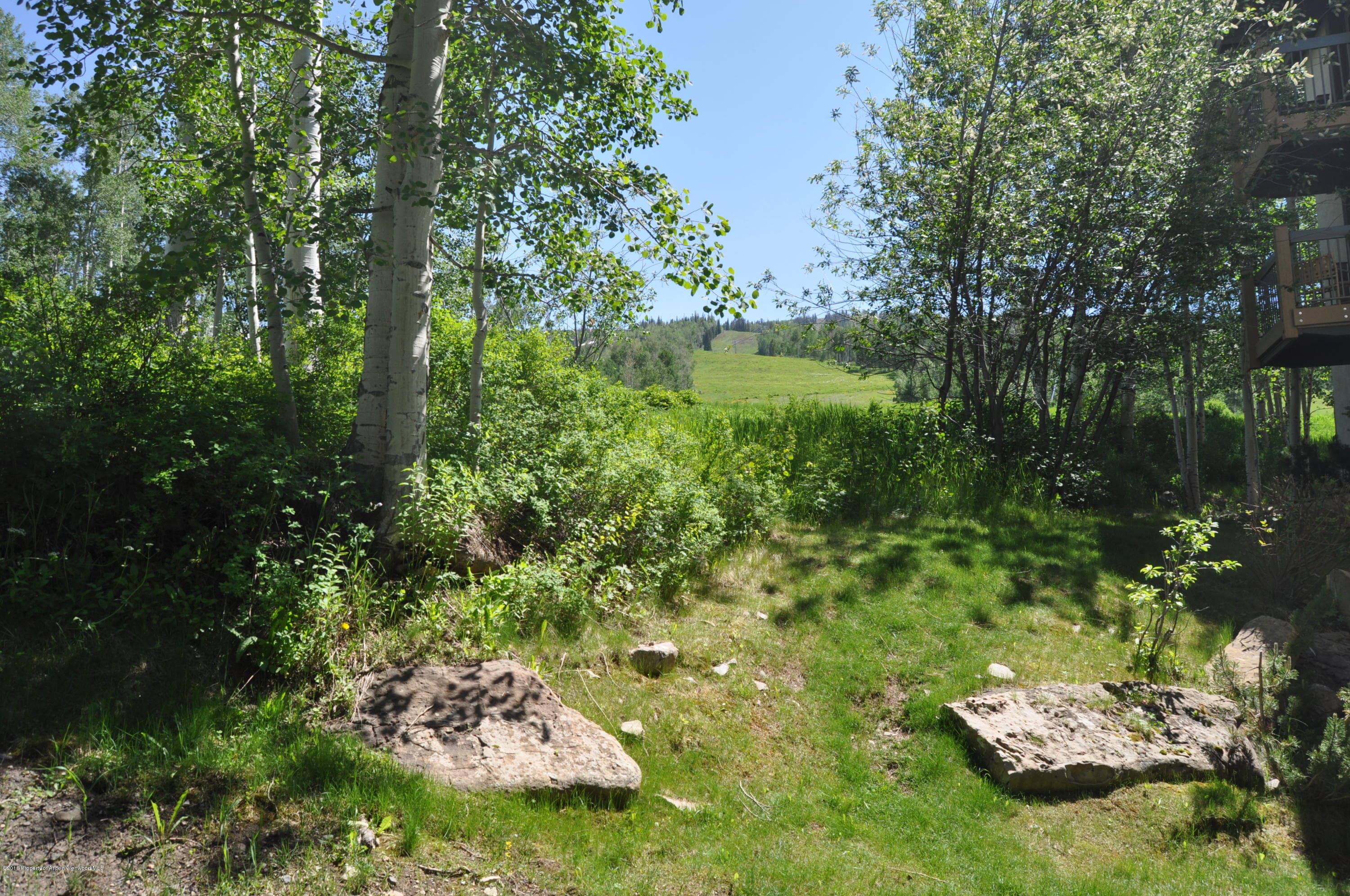 855 Carriage Way Slope #201, Snowmass Village, CO 81615 - Photo 47