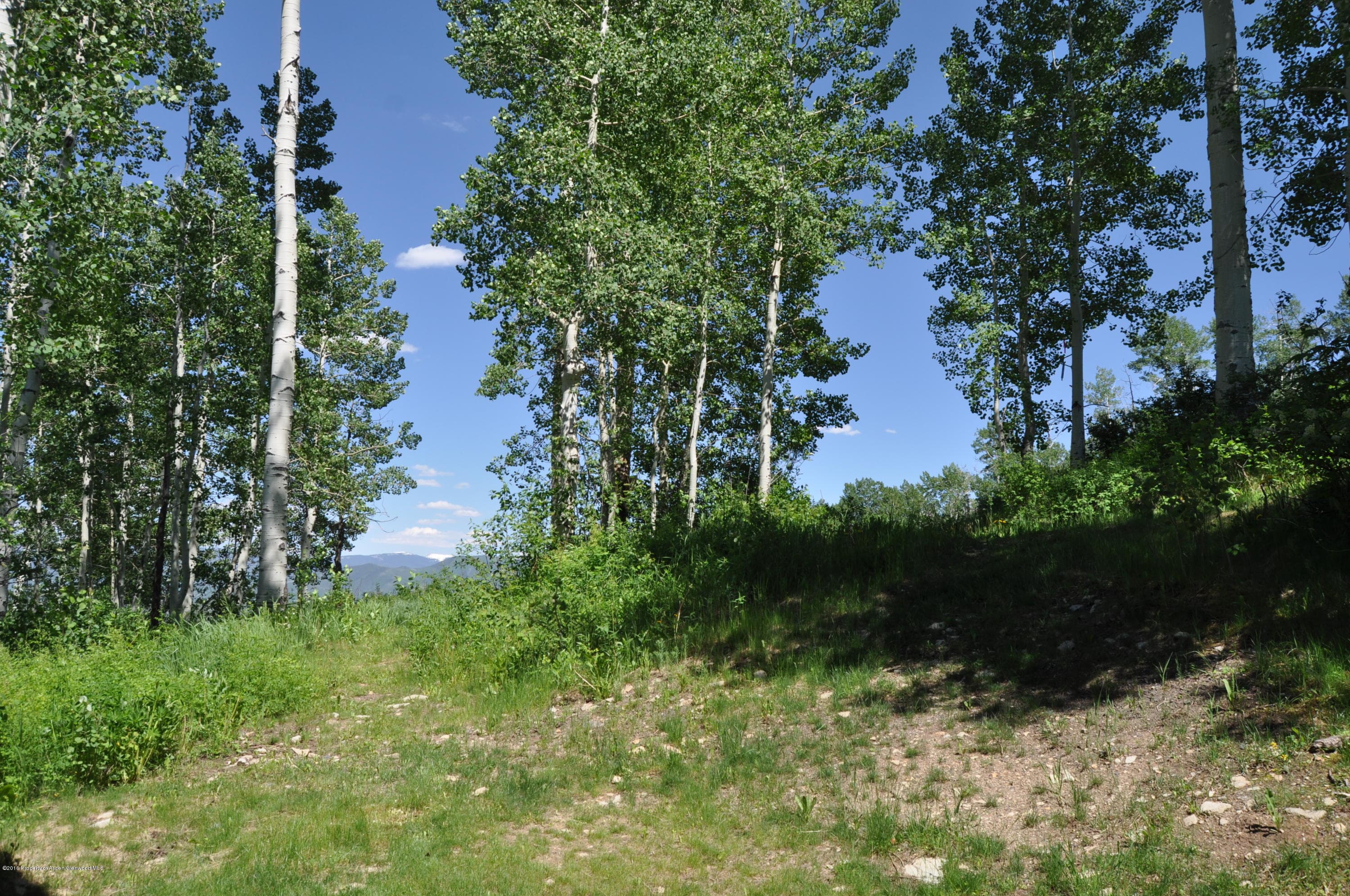 855 Carriage Way Slope #201, Snowmass Village, CO 81615 - Photo 48