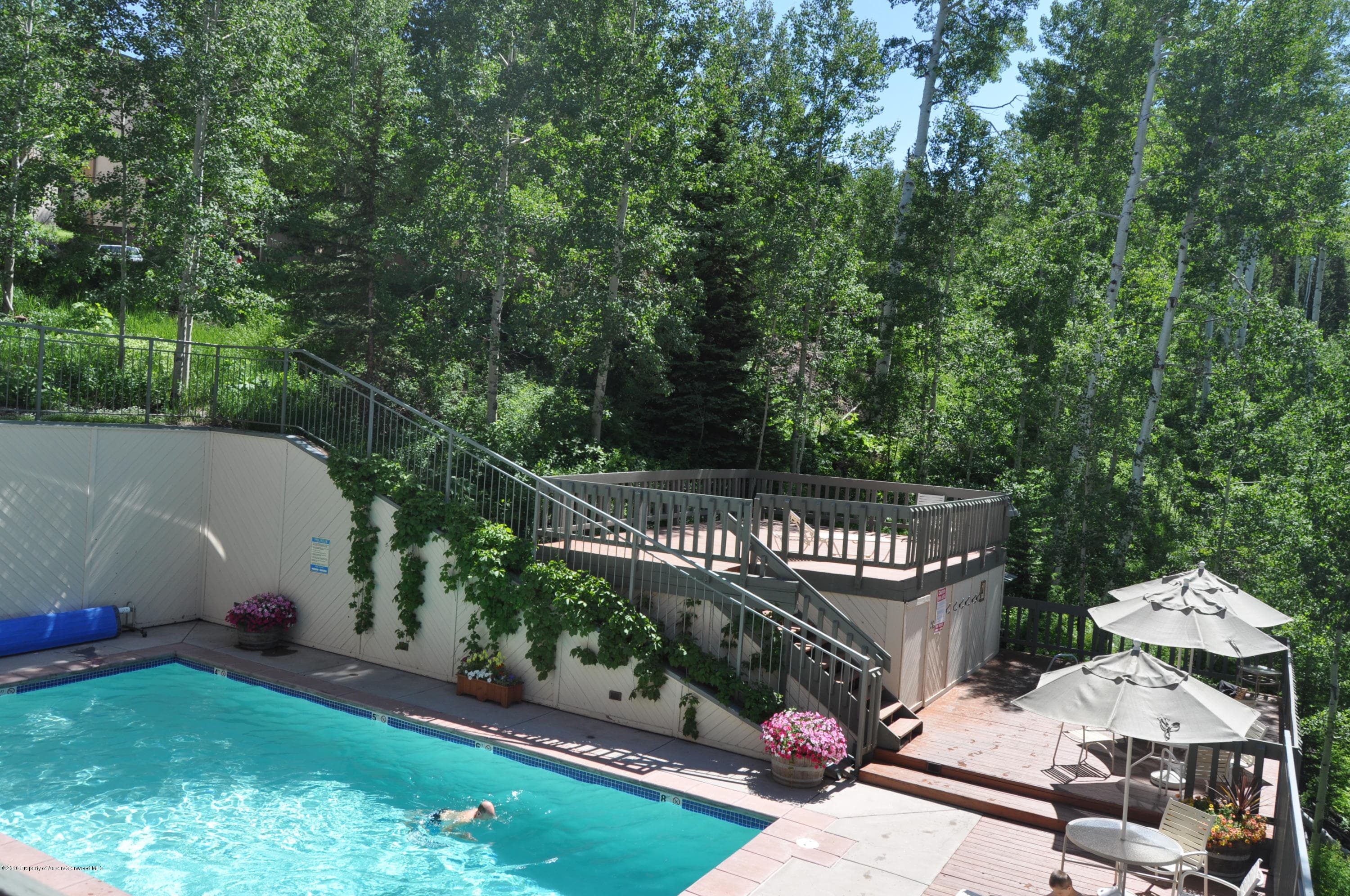 855 Carriage Way Slope #201, Snowmass Village, CO 81615 - Photo 56