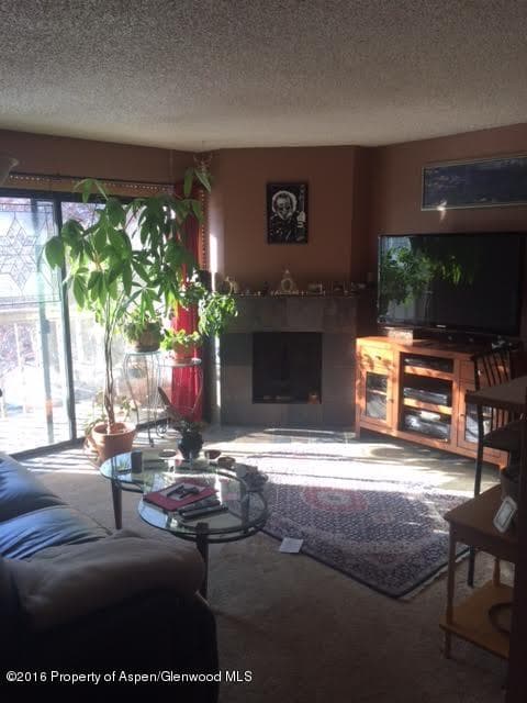 2600 S Oakhurst Court 7, Glenwood Springs, CO 81601 - Photo 4