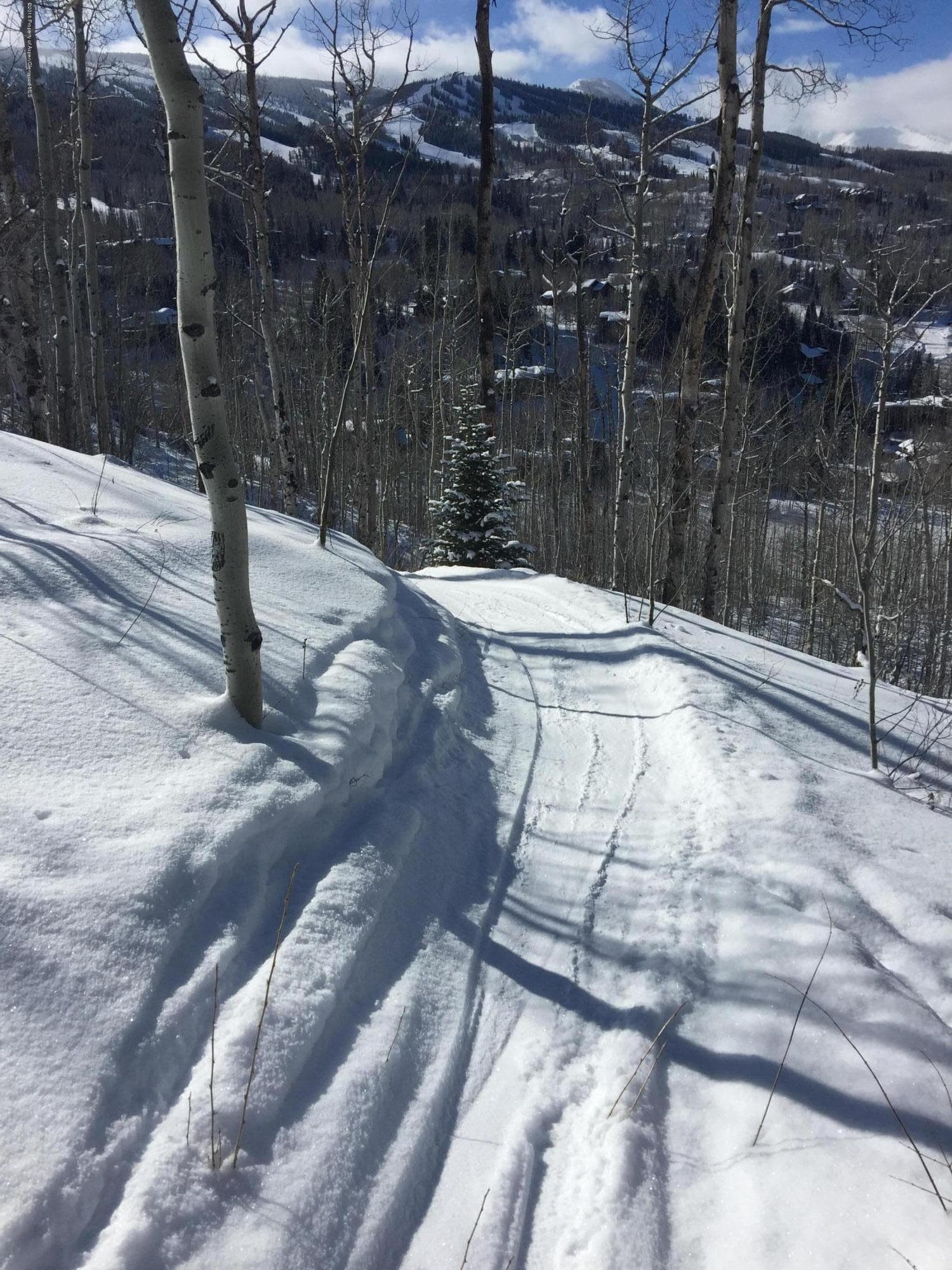 244 Antler Ridge Lane, Snowmass Village, CO 81615 - Photo 32