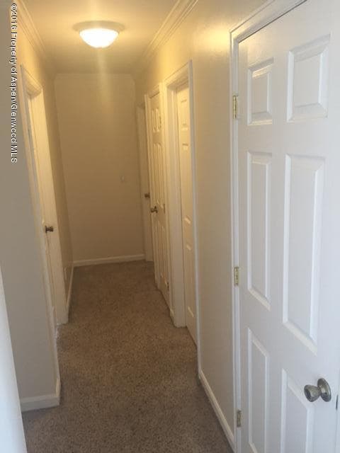 782 E 17th Street, Rifle, CO 81650 - Photo 10