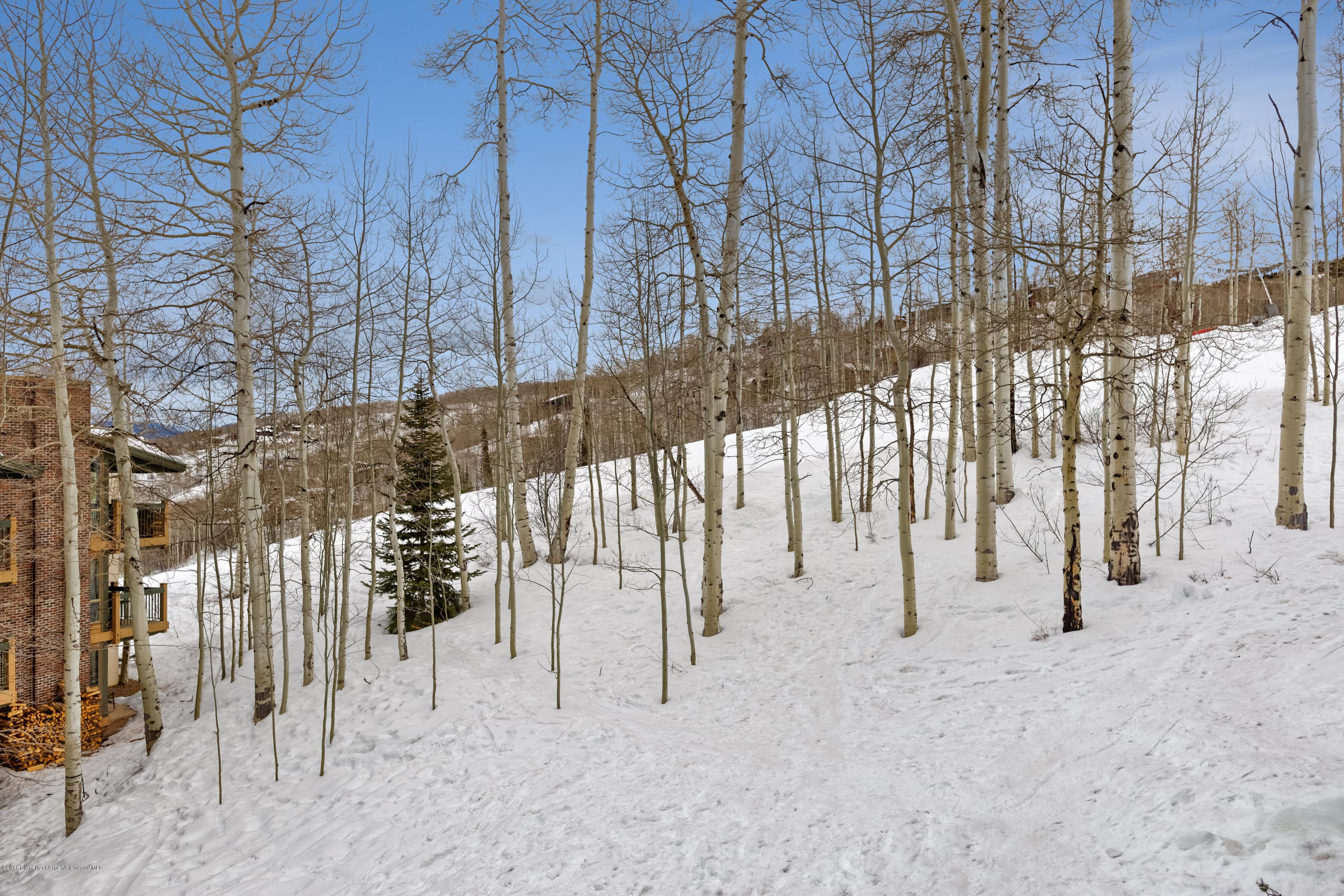 855 Carriage Way Slope #201, Snowmass Village, CO 81615 - Photo 11