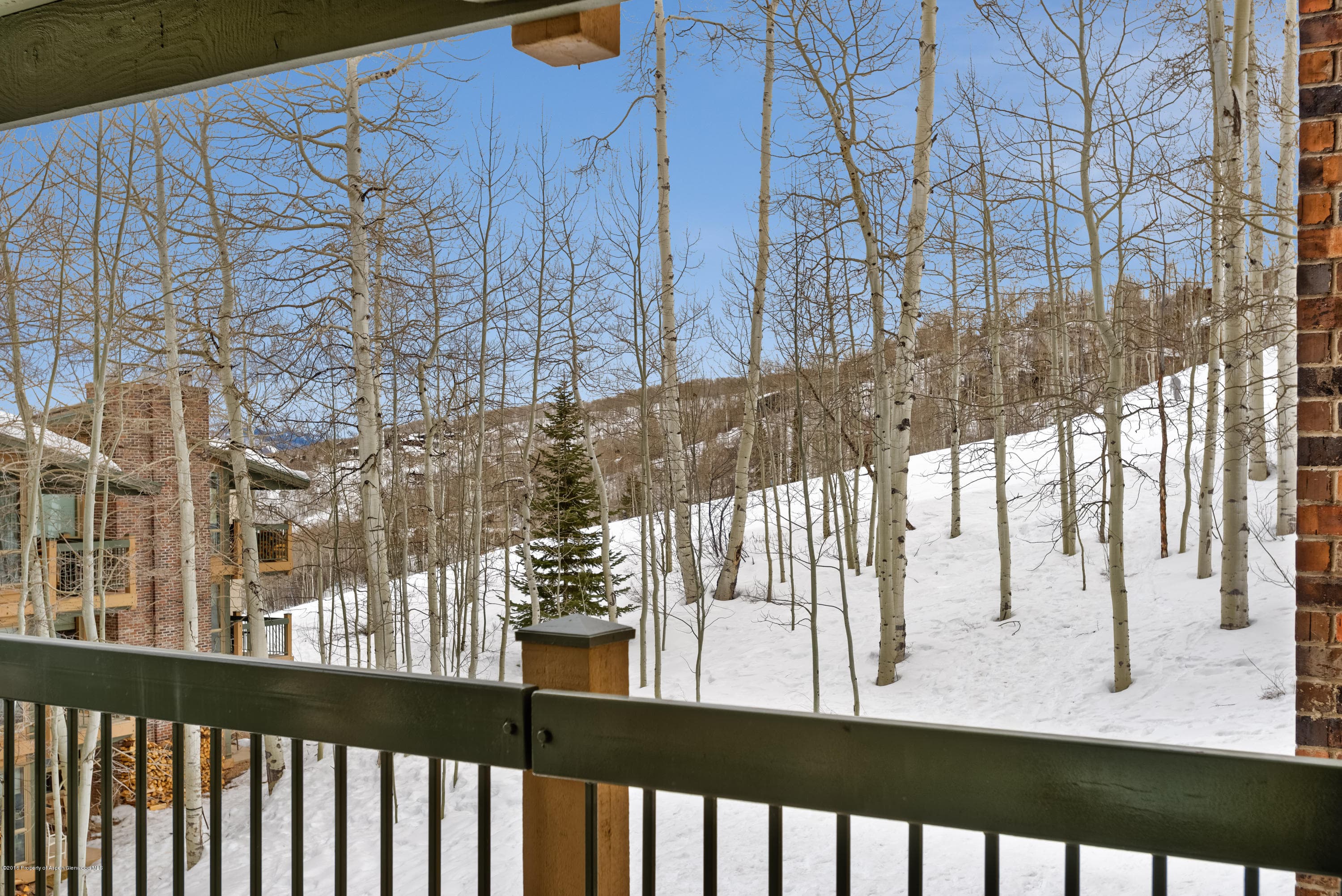 855 Carriage Way Slope #201, Snowmass Village, CO 81615 - Photo 12