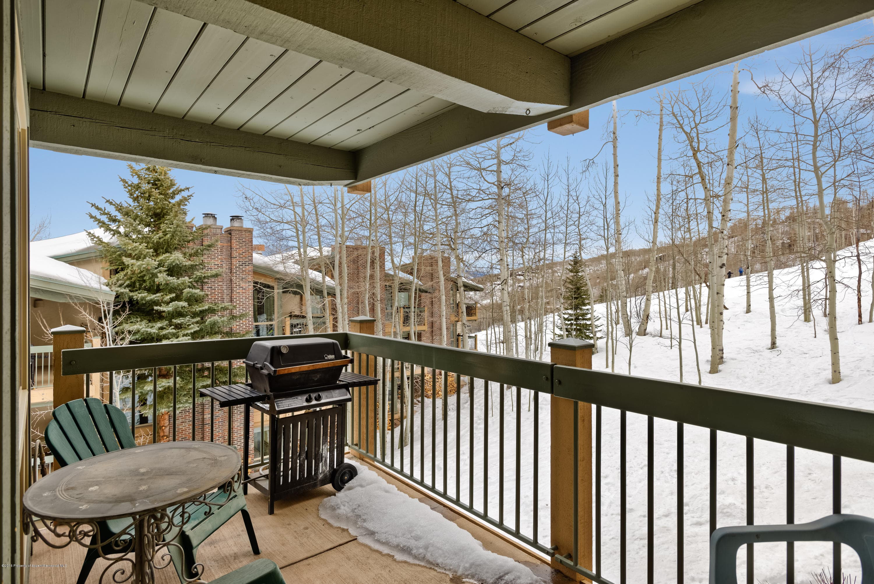 855 Carriage Way Slope #201, Snowmass Village, CO 81615 - Photo 13