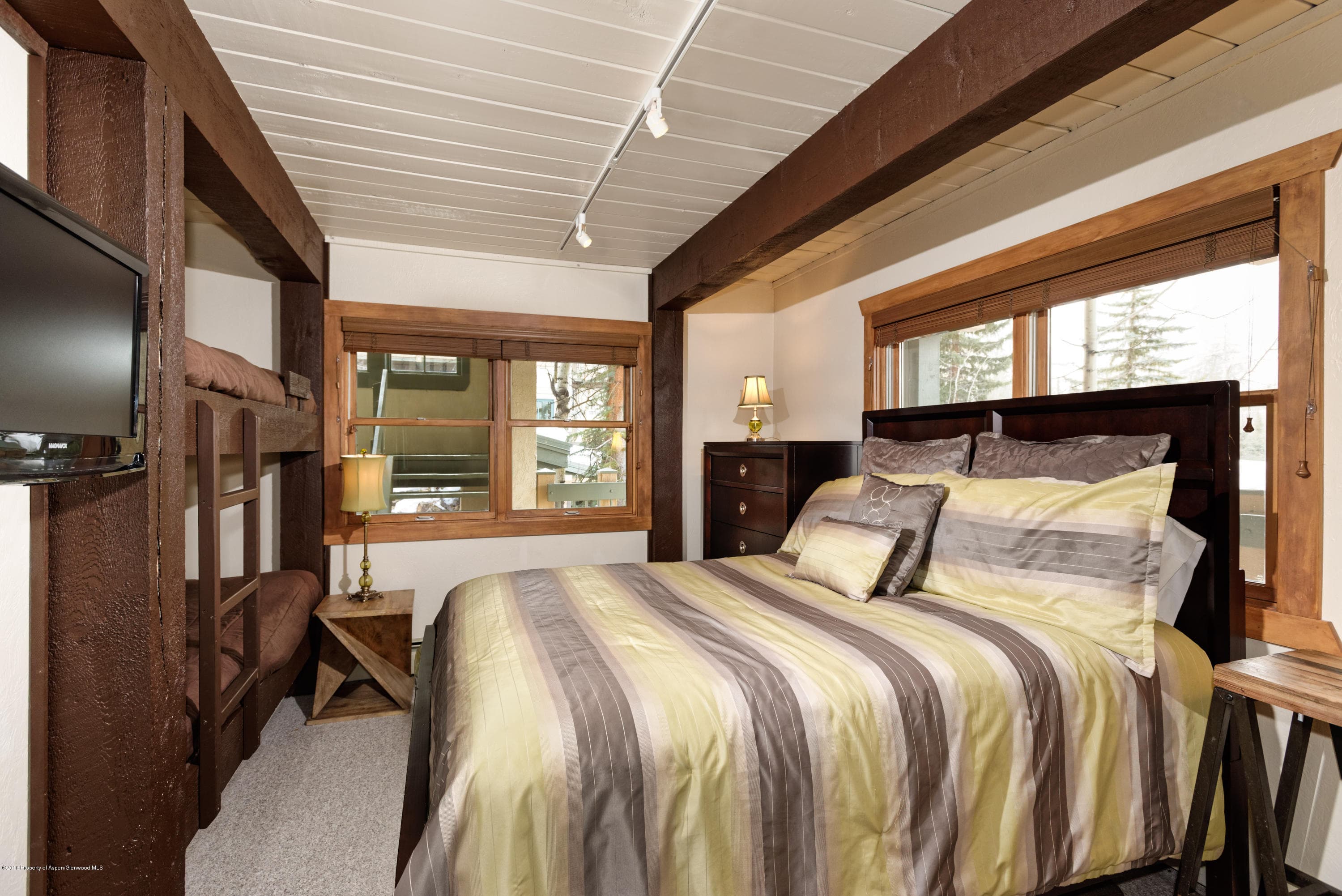 855 Carriage Way Slope #201, Snowmass Village, CO 81615 - Photo 10