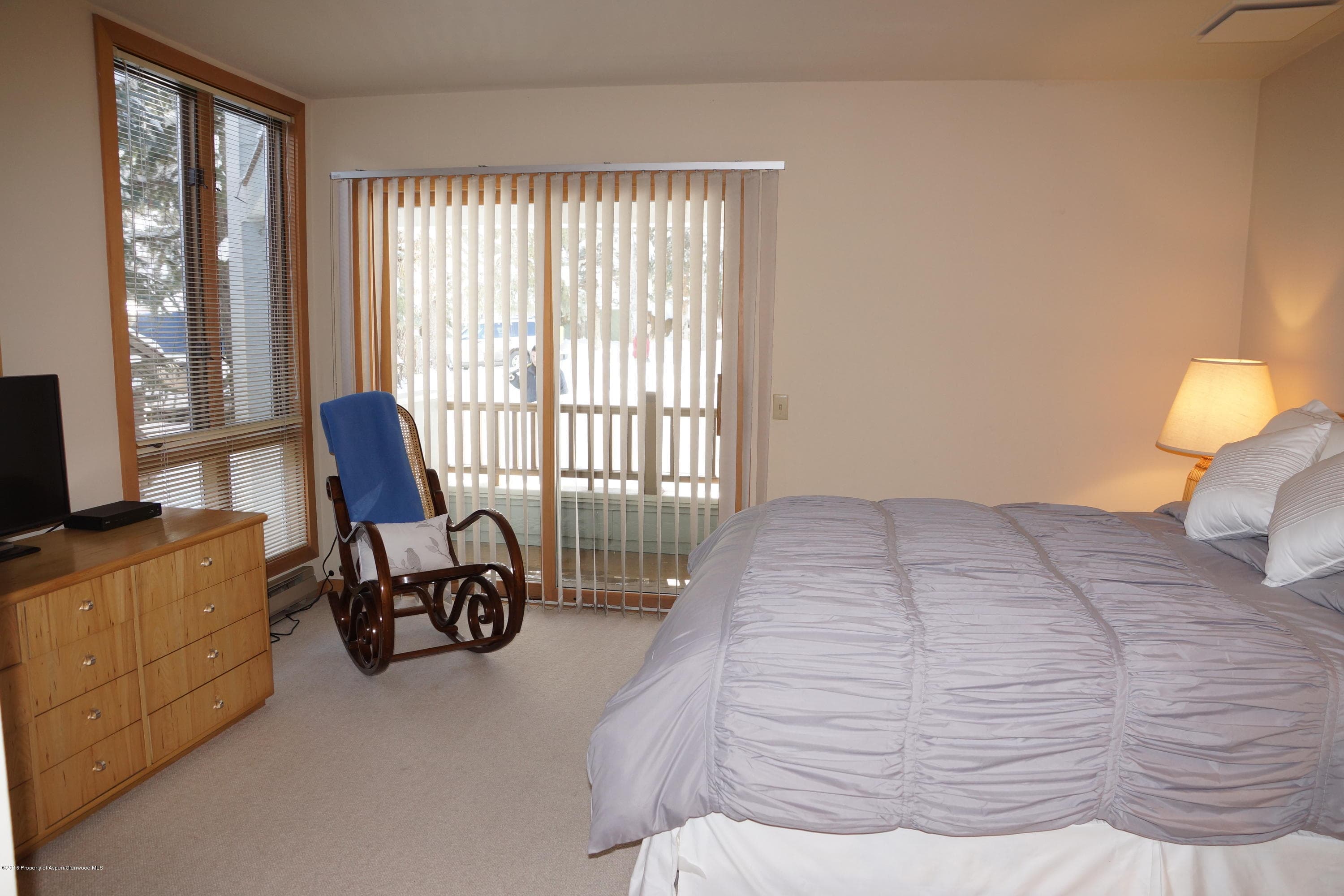 120 E Hyman Avenue, Aspen, CO 81611 - Photo 11