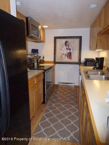 120 E Hyman Avenue, Aspen, CO 81611 - Photo 17