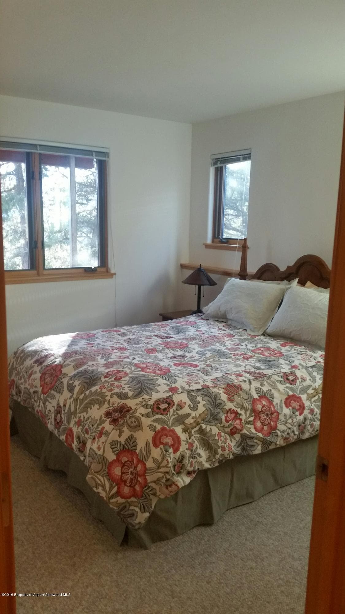 206 Cedar Cove, Glenwood Springs, CO 81601 - Photo 19