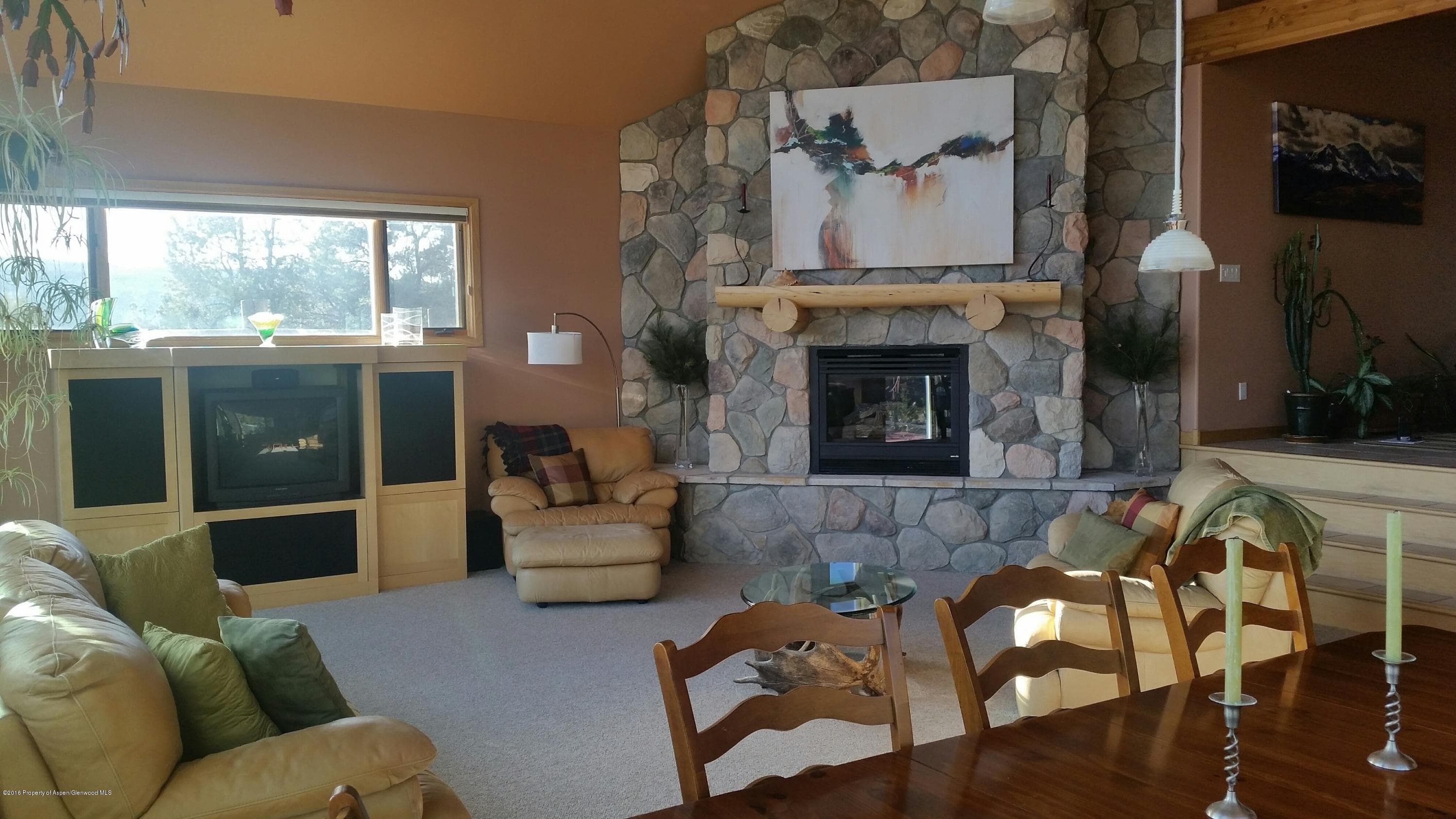 206 Cedar Cove, Glenwood Springs, CO 81601 - Photo 10