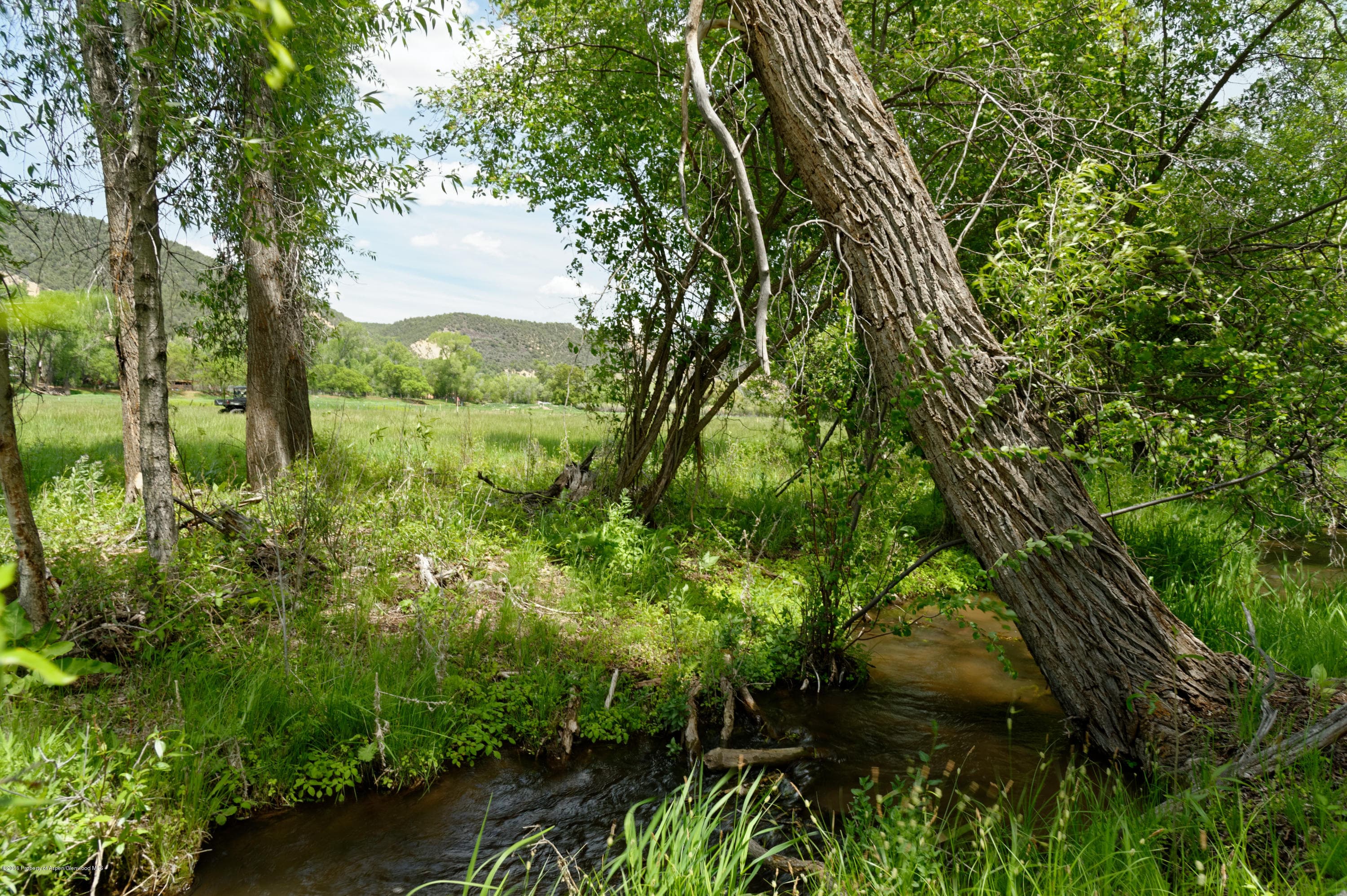 16411 Old Hwy 82, Carbondale, CO 81623 - Photo 12