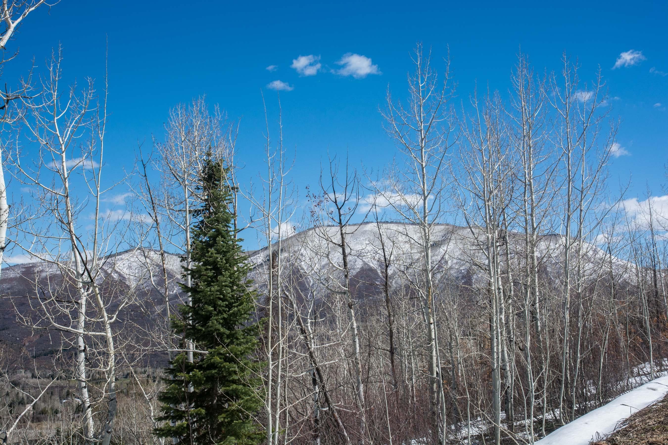 Tbd Powderbowl Trail, Aspen, CO 81611 - Photo 2