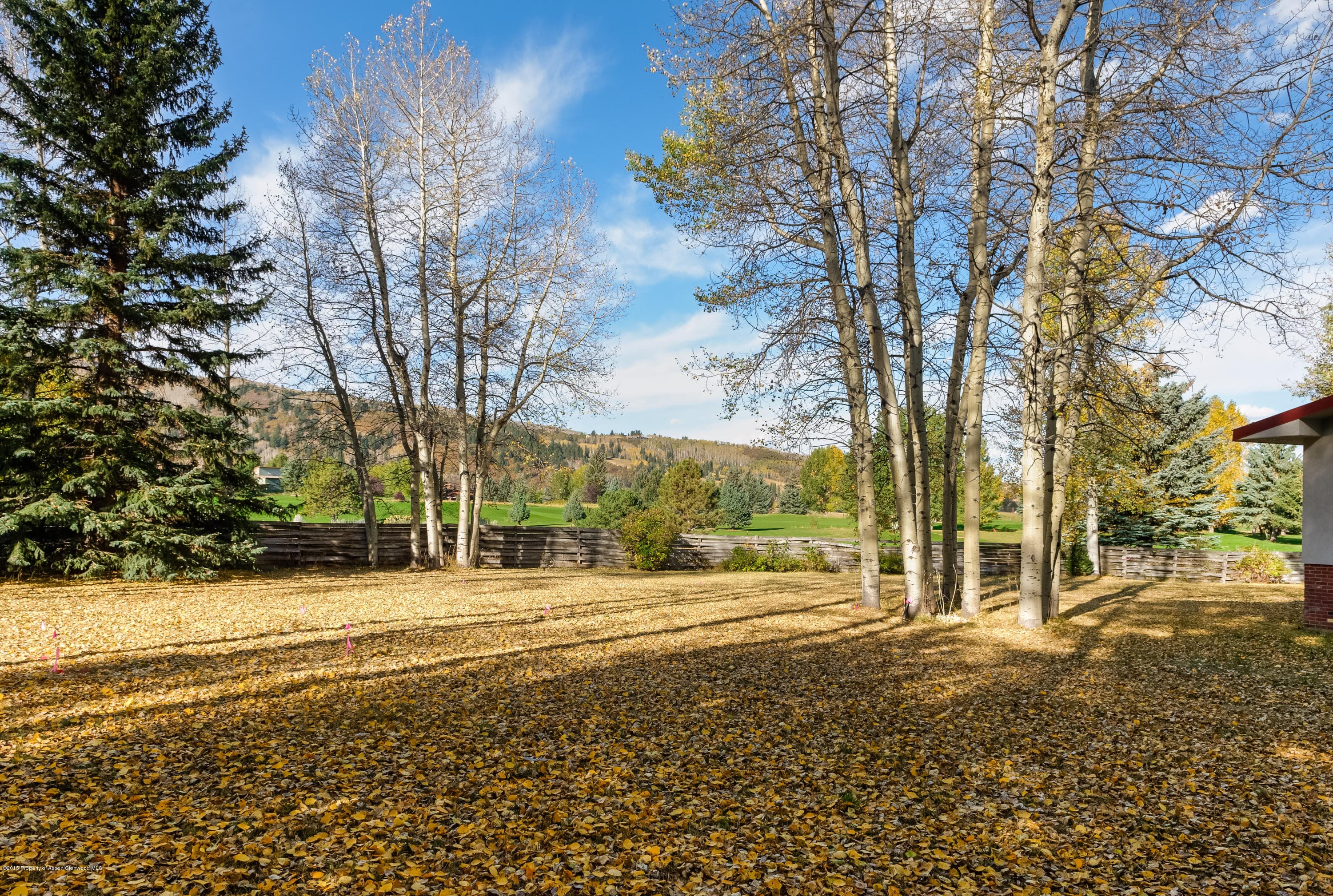 1481 Sierra Vista Drive, Aspen, CO 81611 - Photo 77