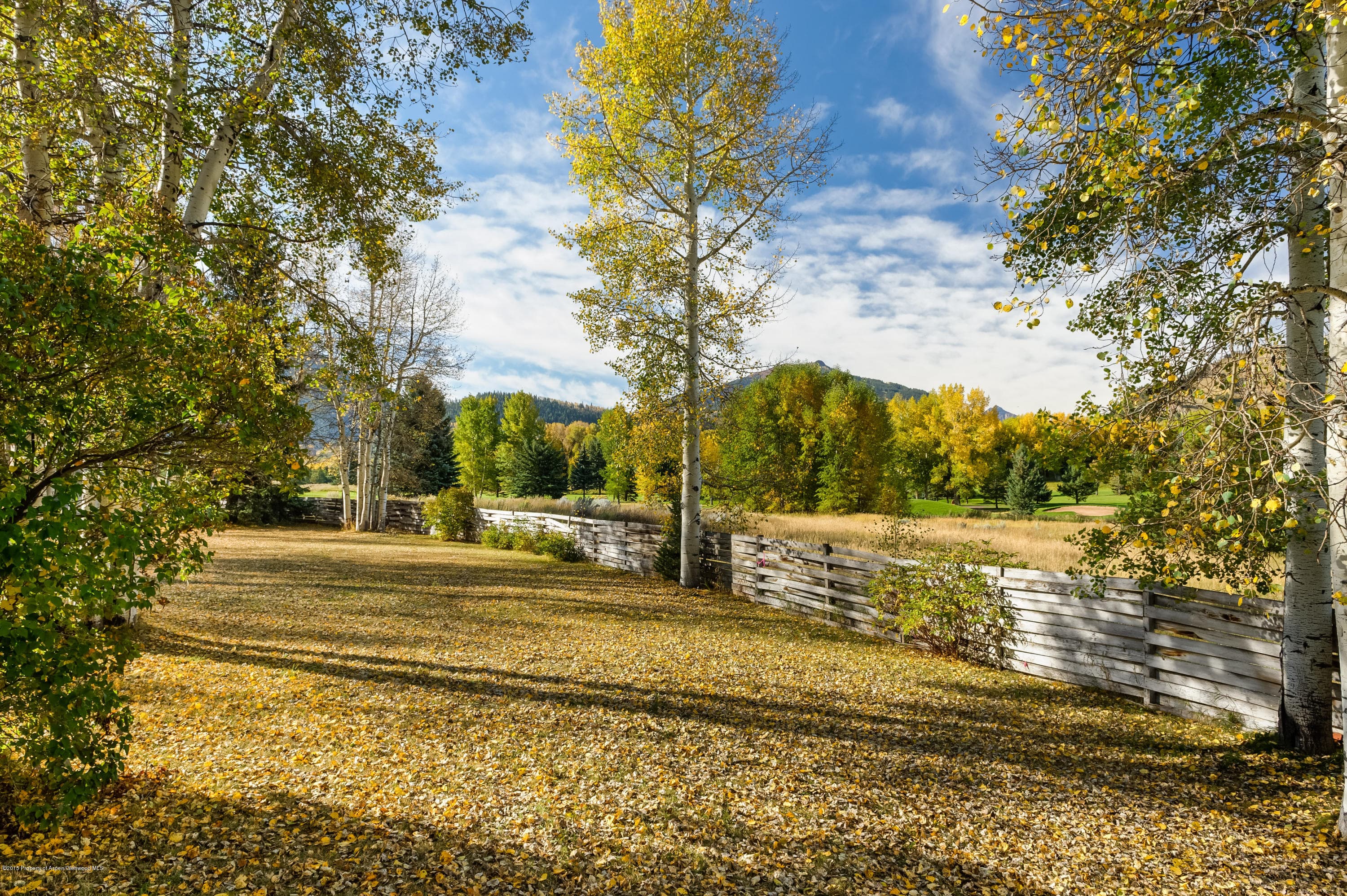 1481 Sierra Vista Drive, Aspen, CO 81611 - Photo 83