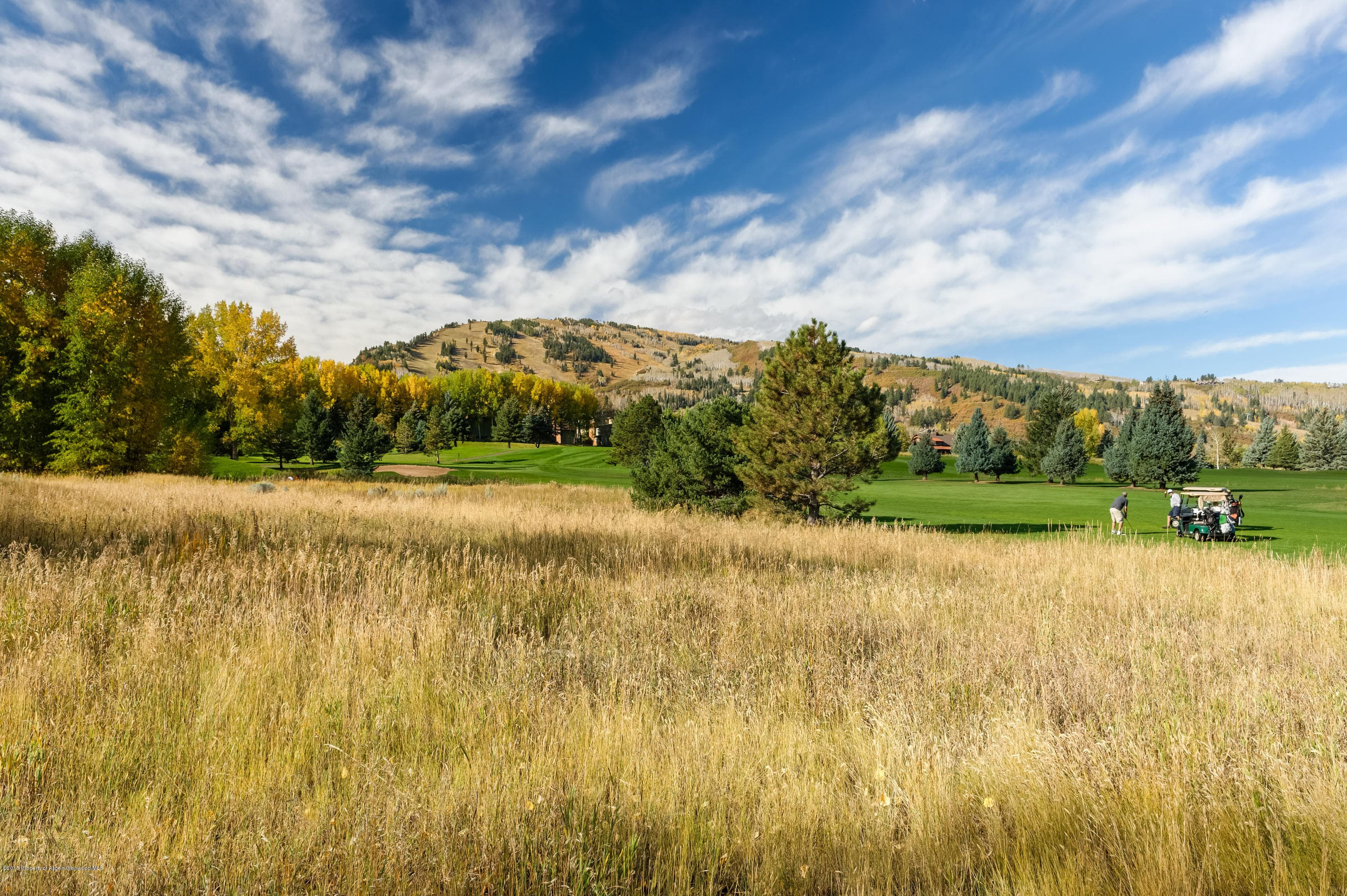1481 Sierra Vista Drive, Aspen, CO 81611 - Photo 87