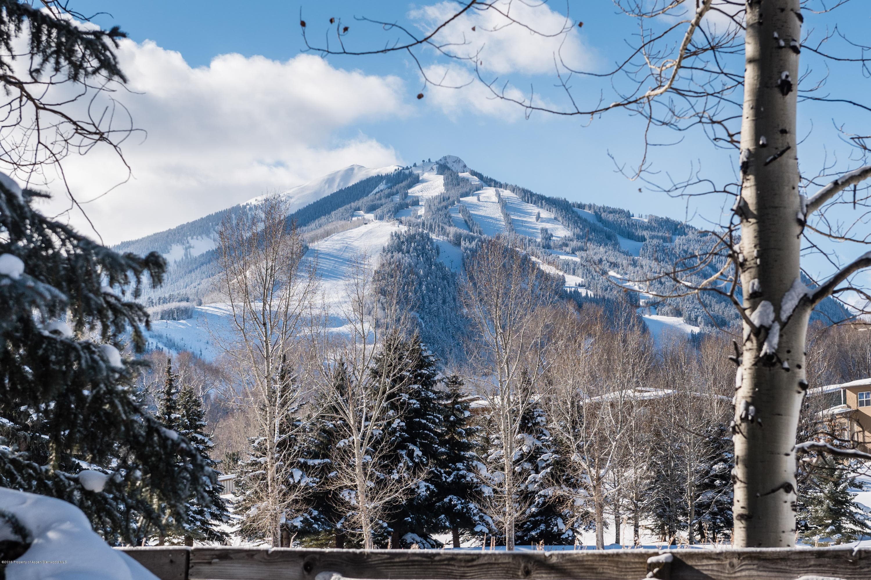 1481 Sierra Vista Drive, Aspen, CO 81611 - Photo 54