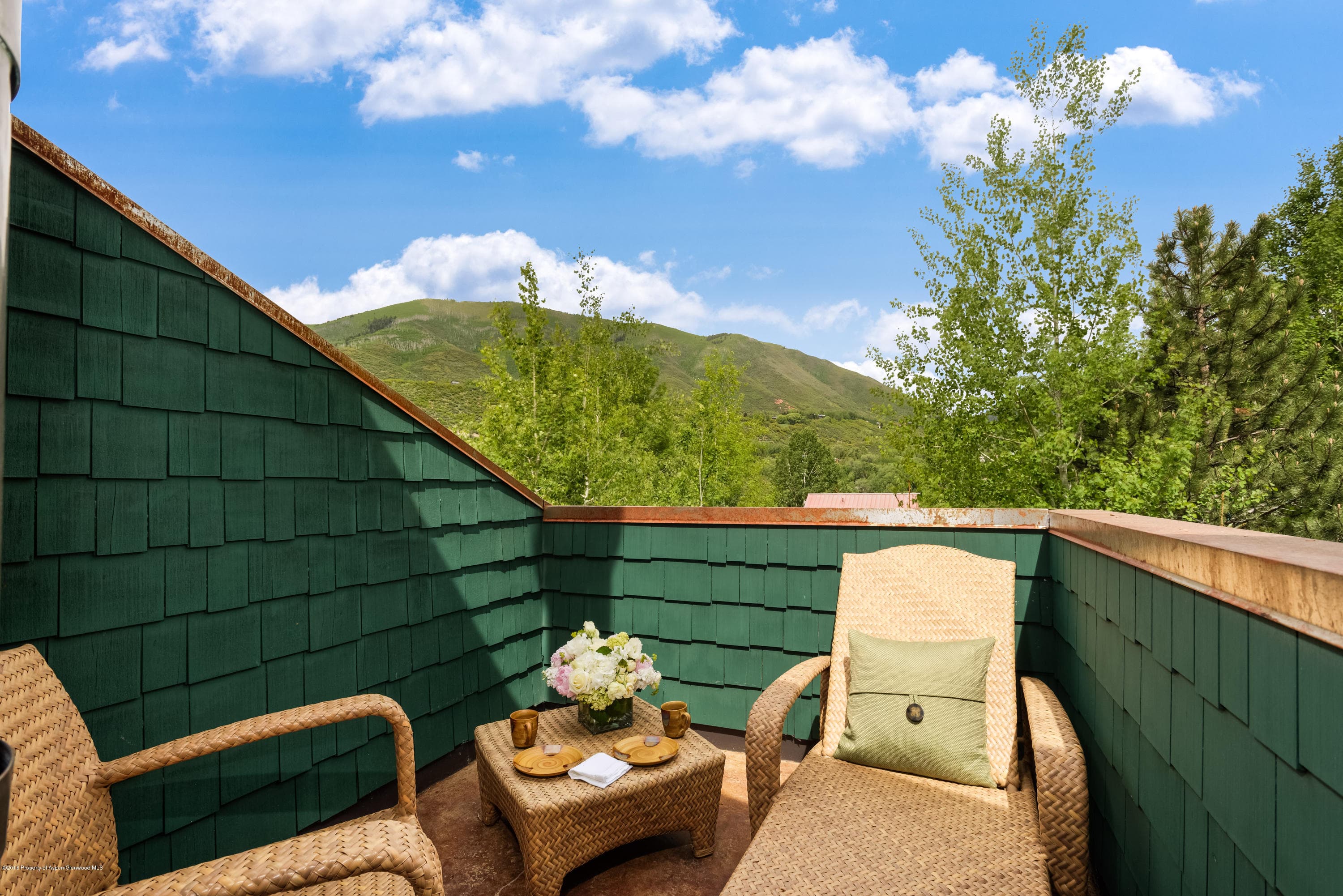 1095 Cemetery, Aspen, CO 81611 - Photo 16