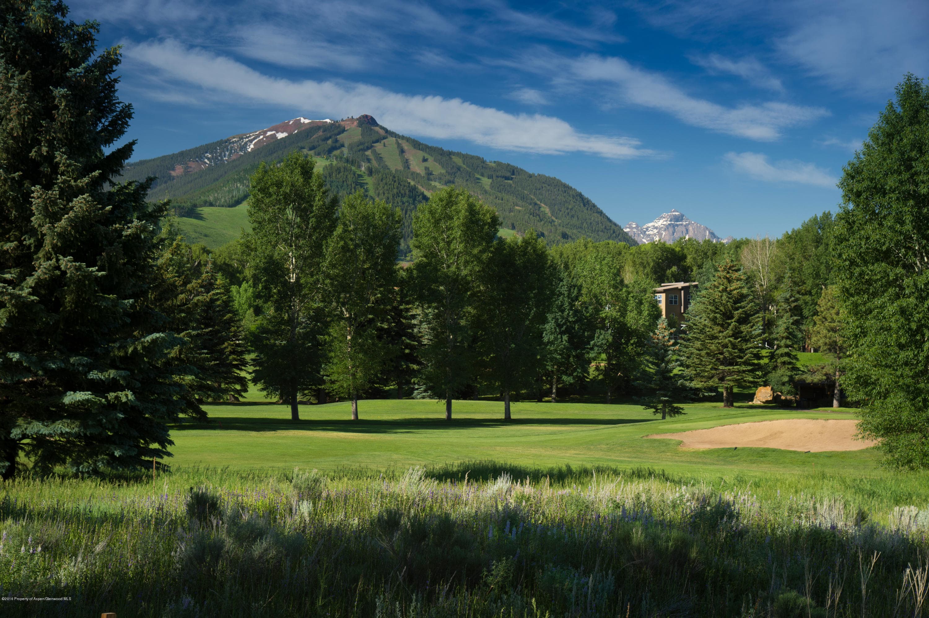 1481 Sierra Vista Drive, Aspen, CO 81611 - Photo 53