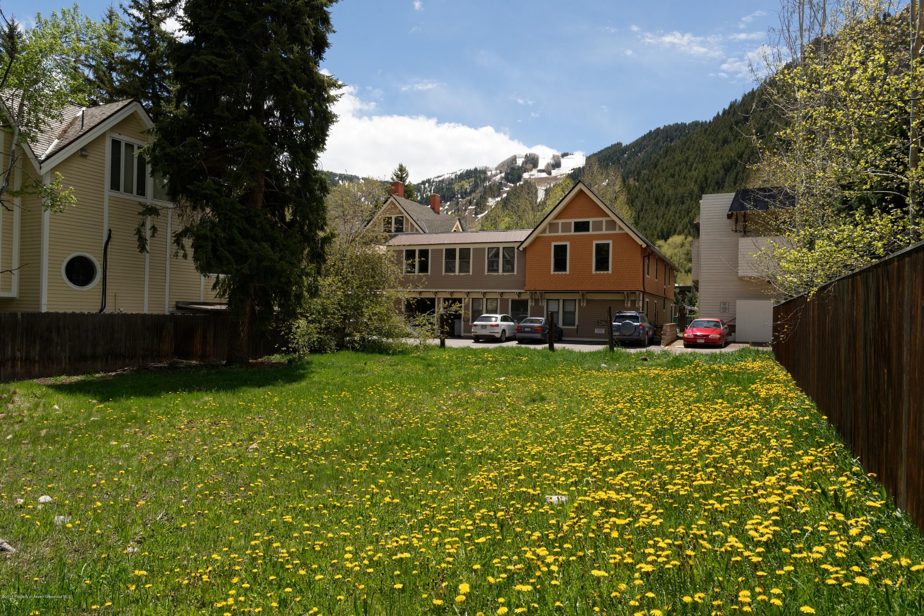 433 W Bleeker Street, Aspen, CO 81611