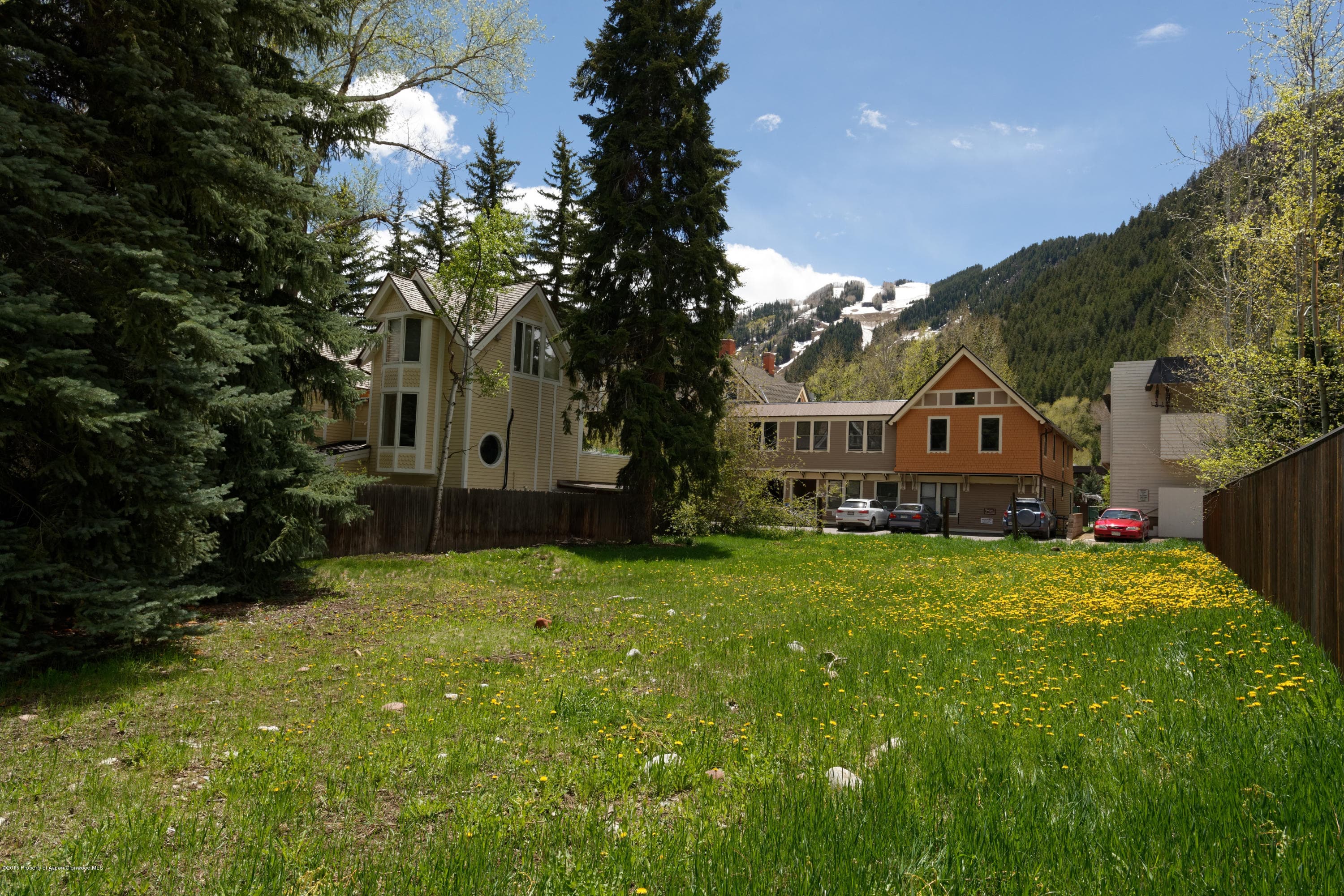433 W Bleeker Street, Aspen, CO 81611 - Photo 2
