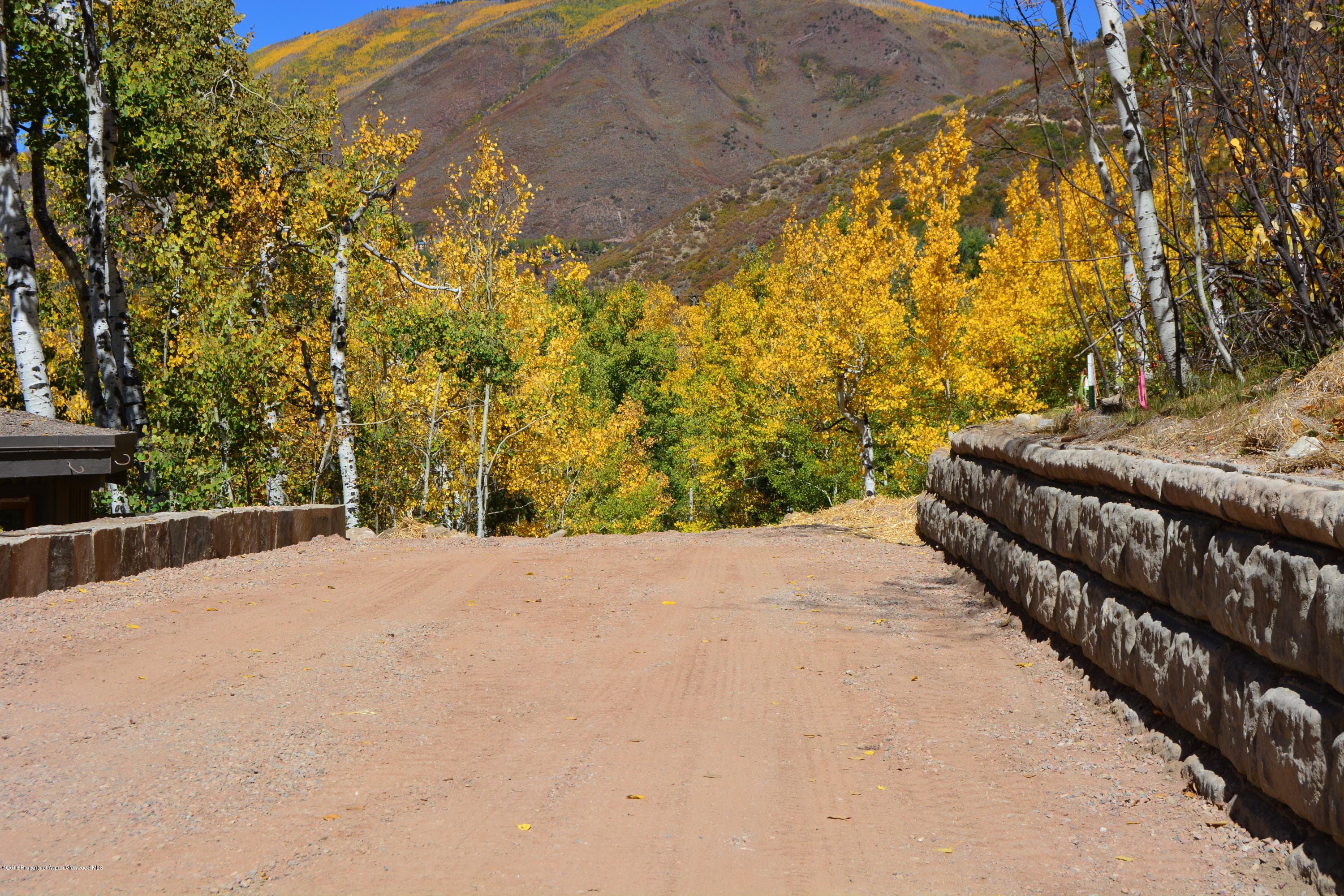 310 Eastwood Drive, Aspen, CO 81611 - Photo 11