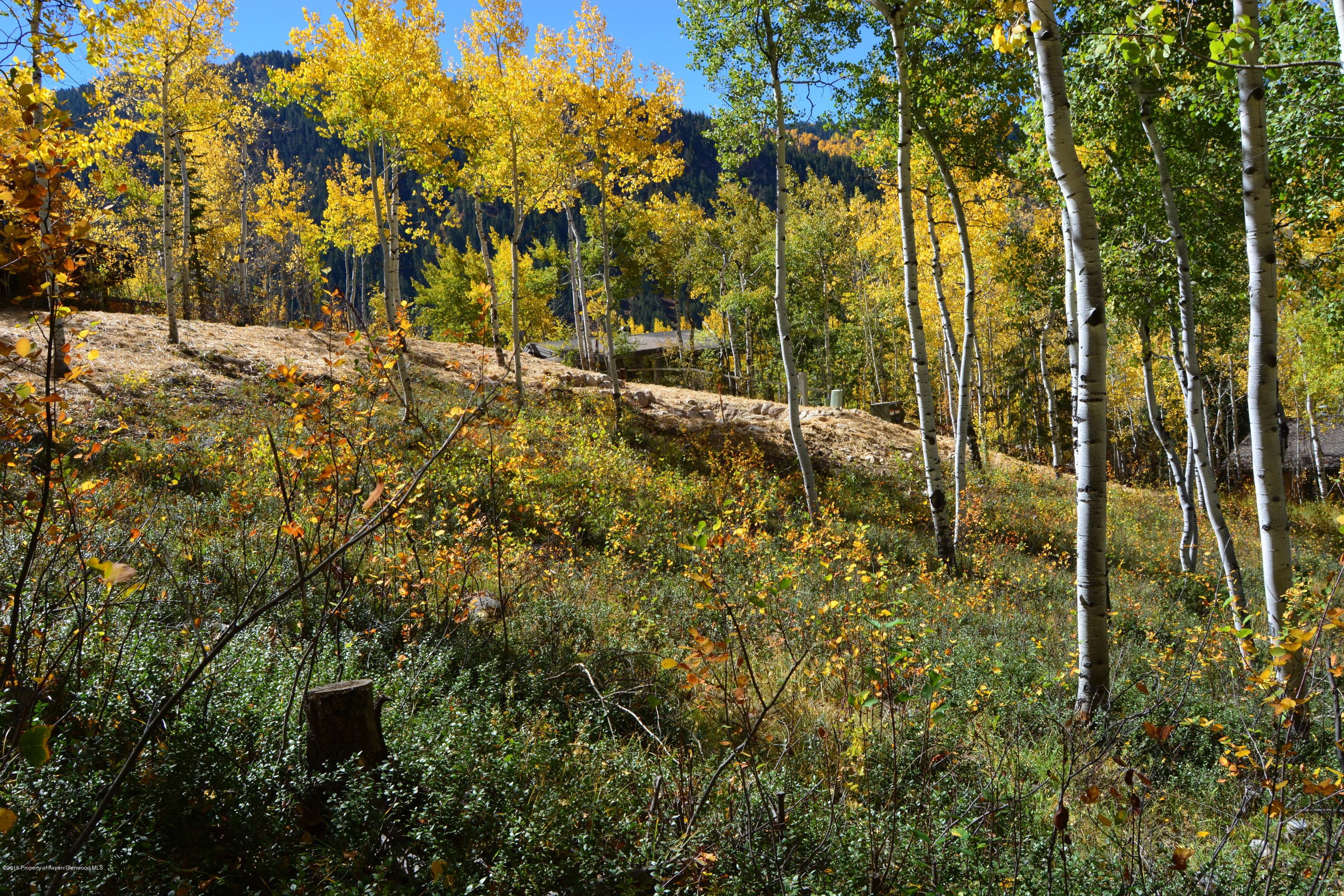 310 Eastwood Drive, Aspen, CO 81611 - Photo 5