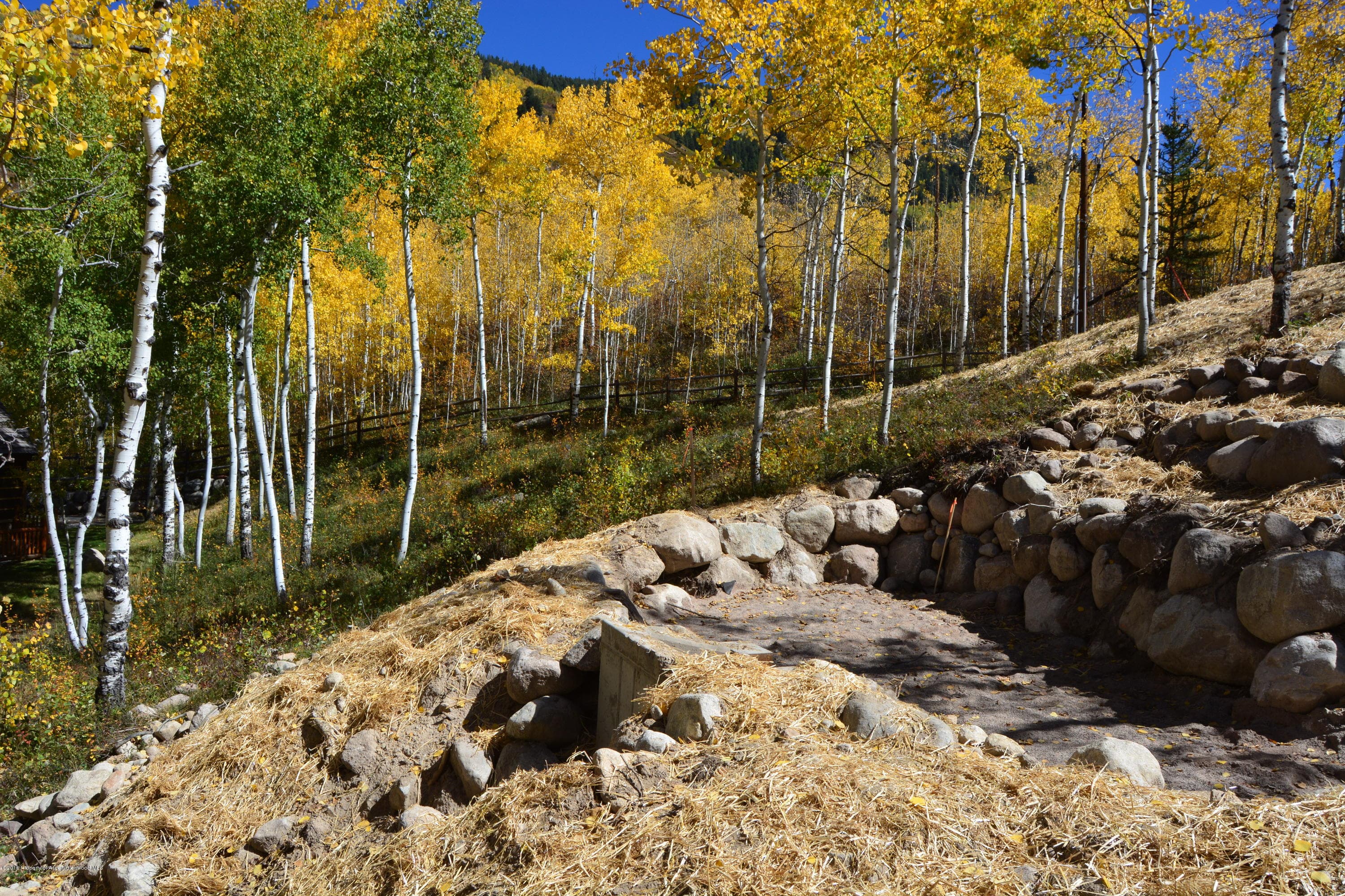 310 Eastwood Drive, Aspen, CO 81611 - Photo 9