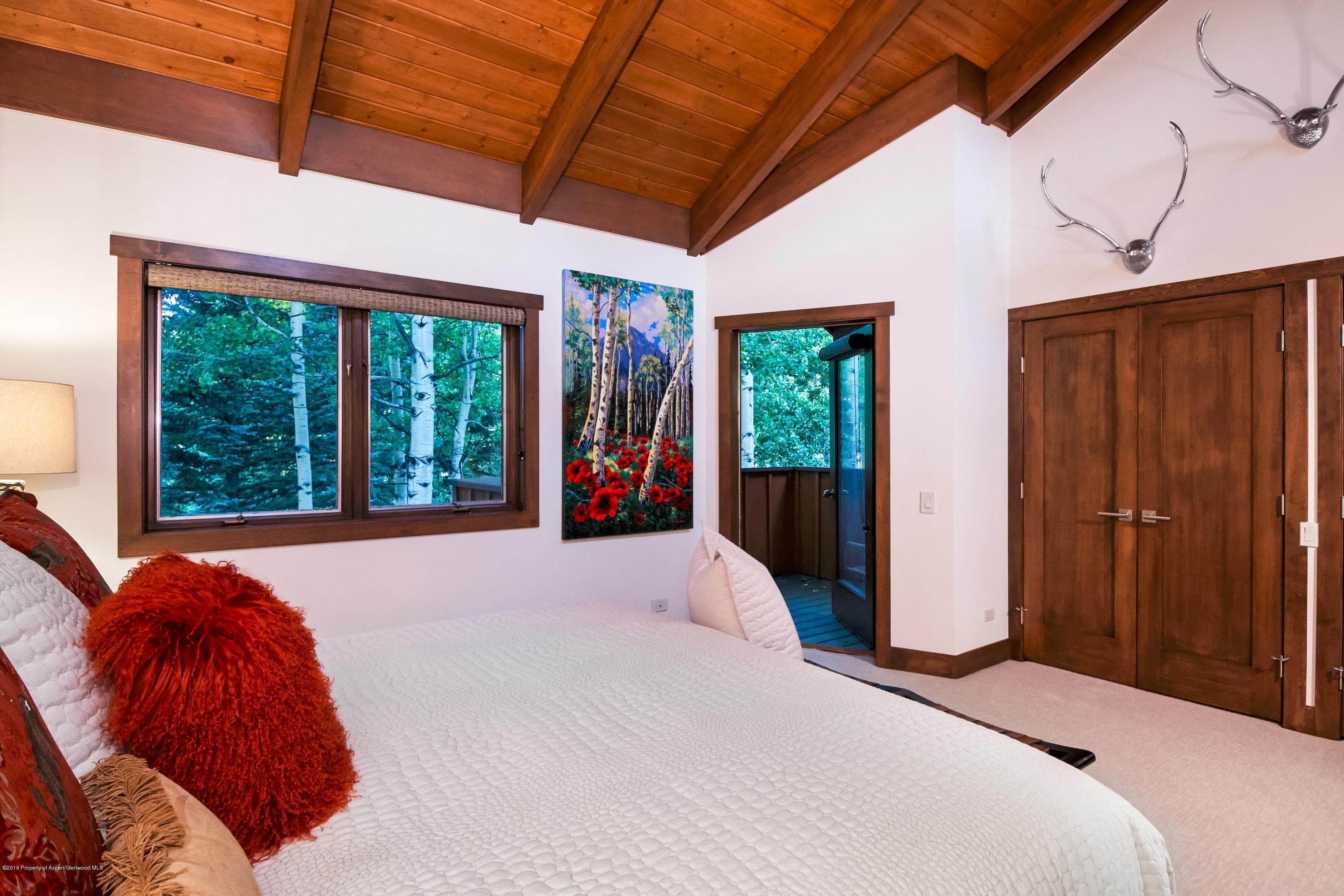 800 Ridge Road #10, Snowmass Village, CO 81615 - Photo 15