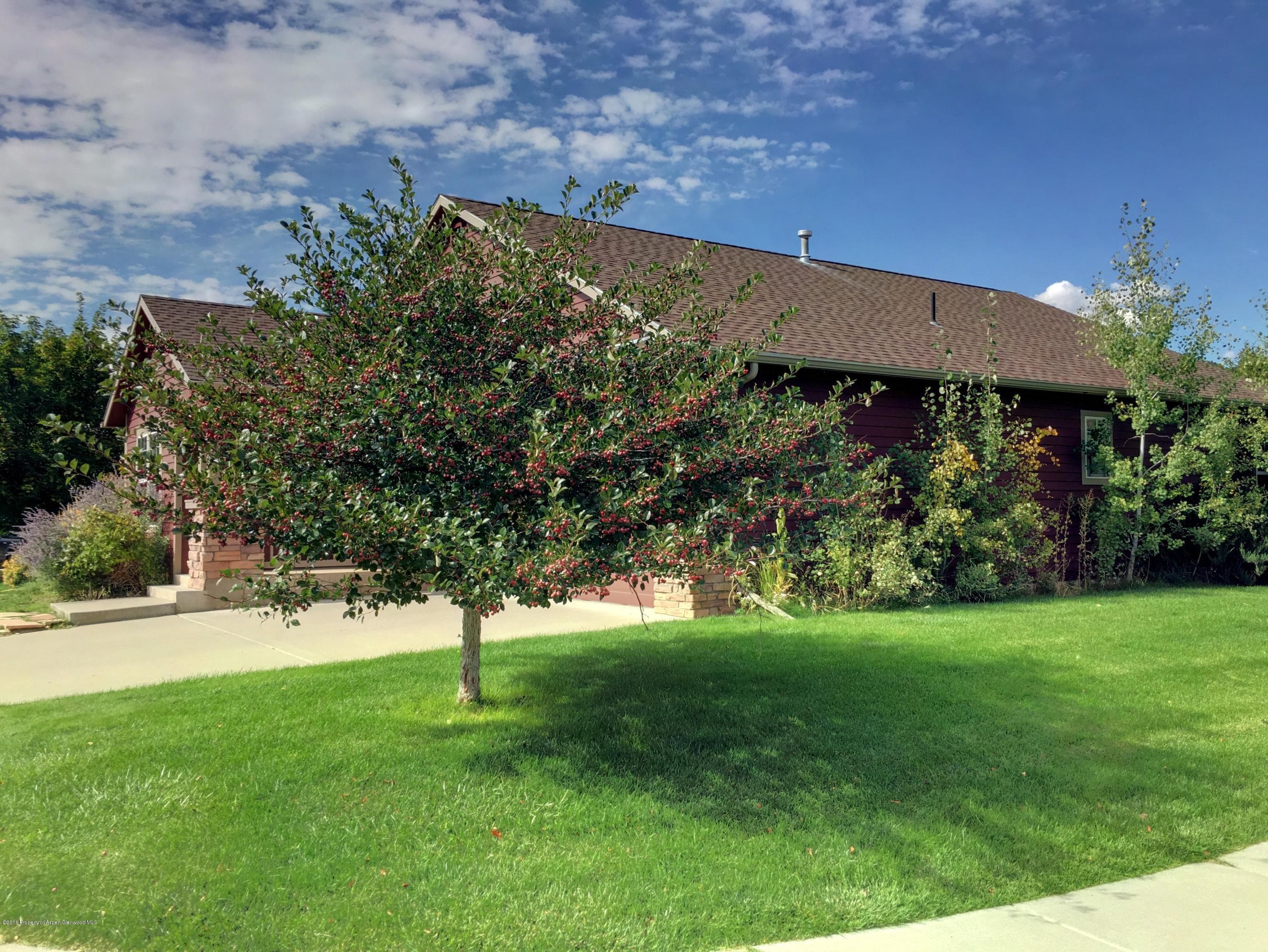 630 S Wild Horse Drive, New Castle, CO 81647 - Photo 5