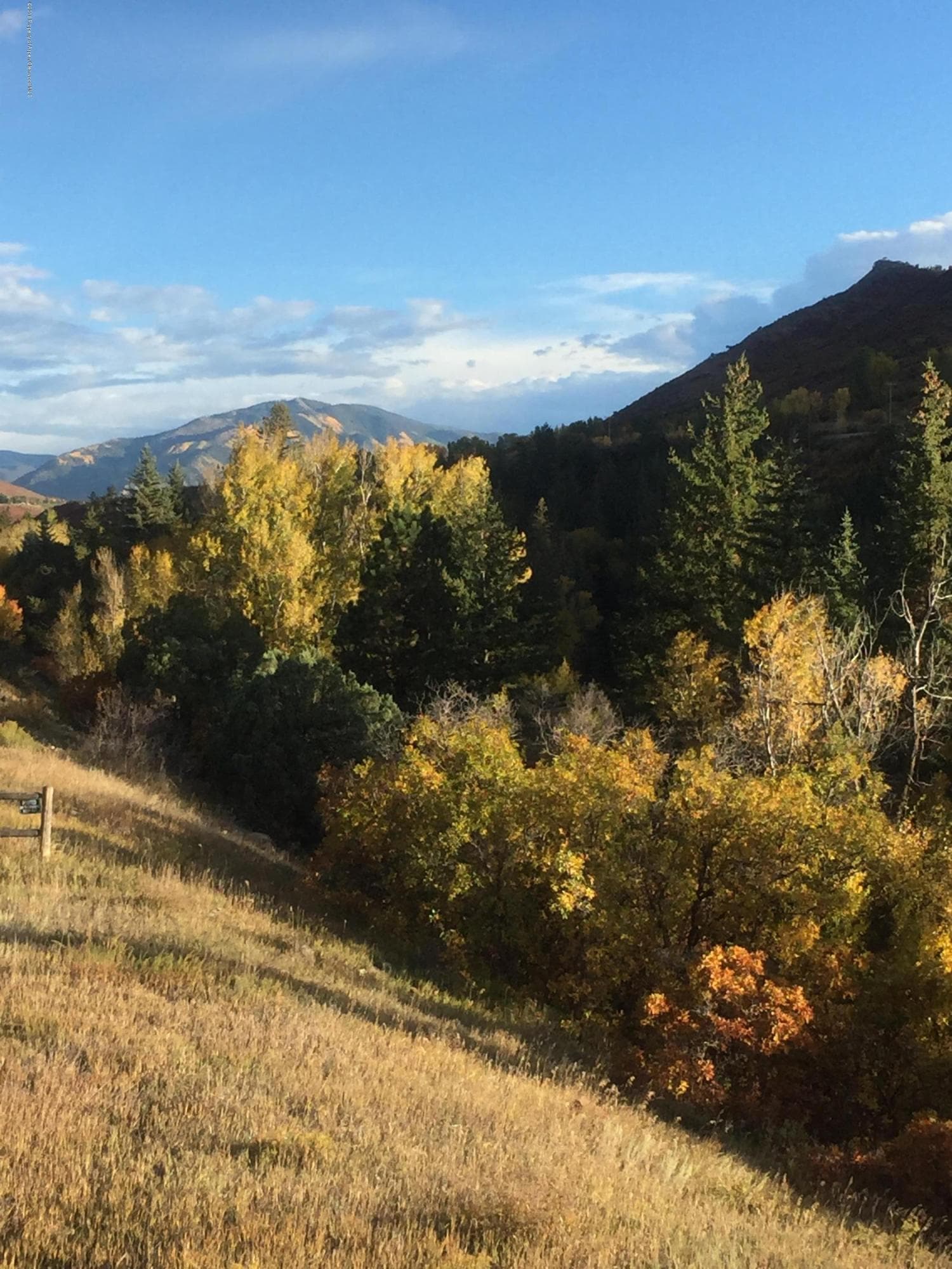 Tbd River Ridge Road, Woody Creek, CO 81656 - Photo 16