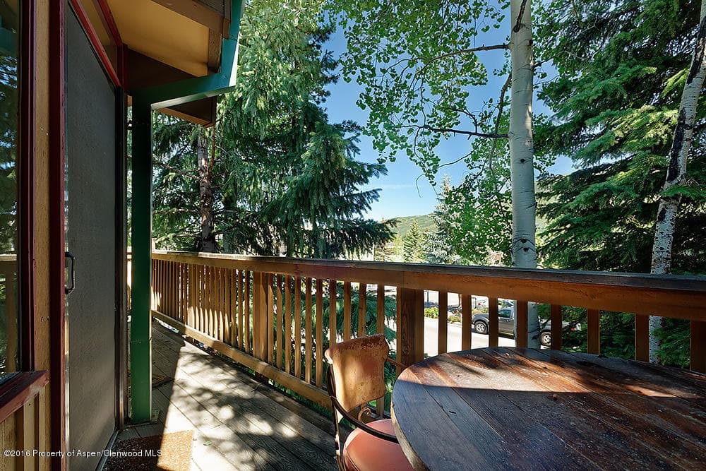 803 E Durant Avenue #6, Aspen, CO 81611 - Photo 11