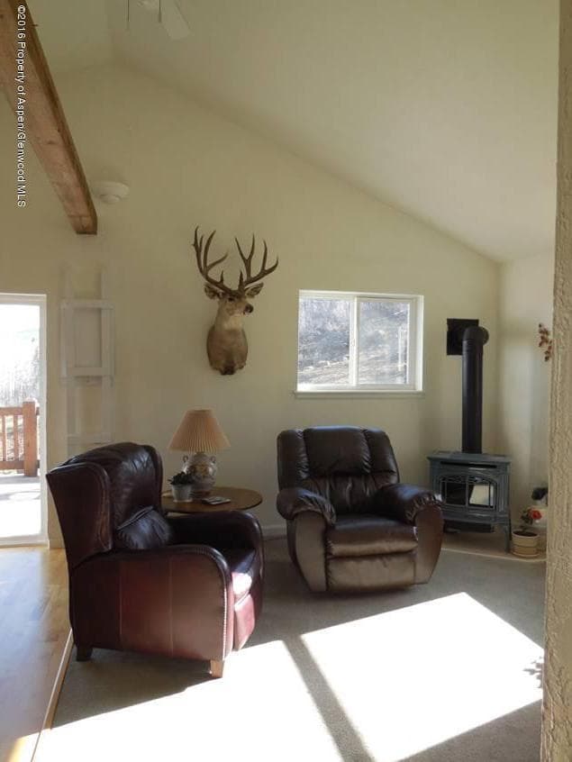 220 S Marsh Ln., Glenwood Springs, CO 81601 - Photo 10