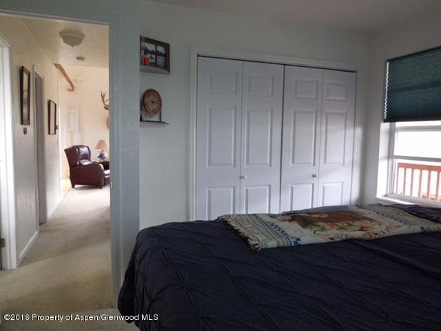 220 S Marsh Ln., Glenwood Springs, CO 81601 - Photo 13