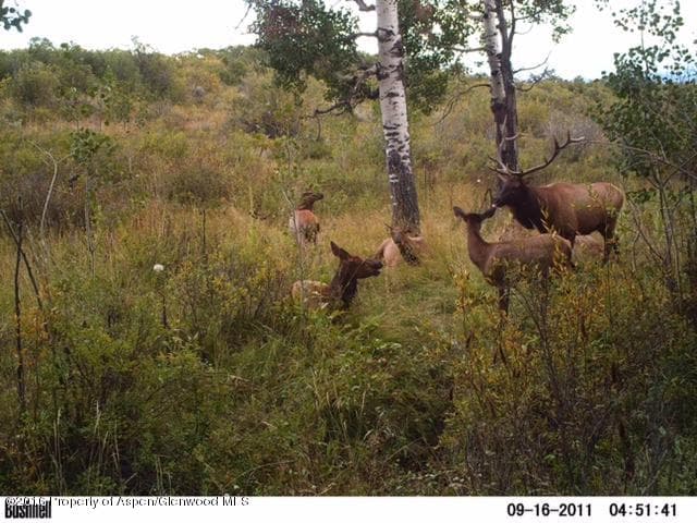 220 S Marsh Ln., Glenwood Springs, CO 81601 - Photo 16