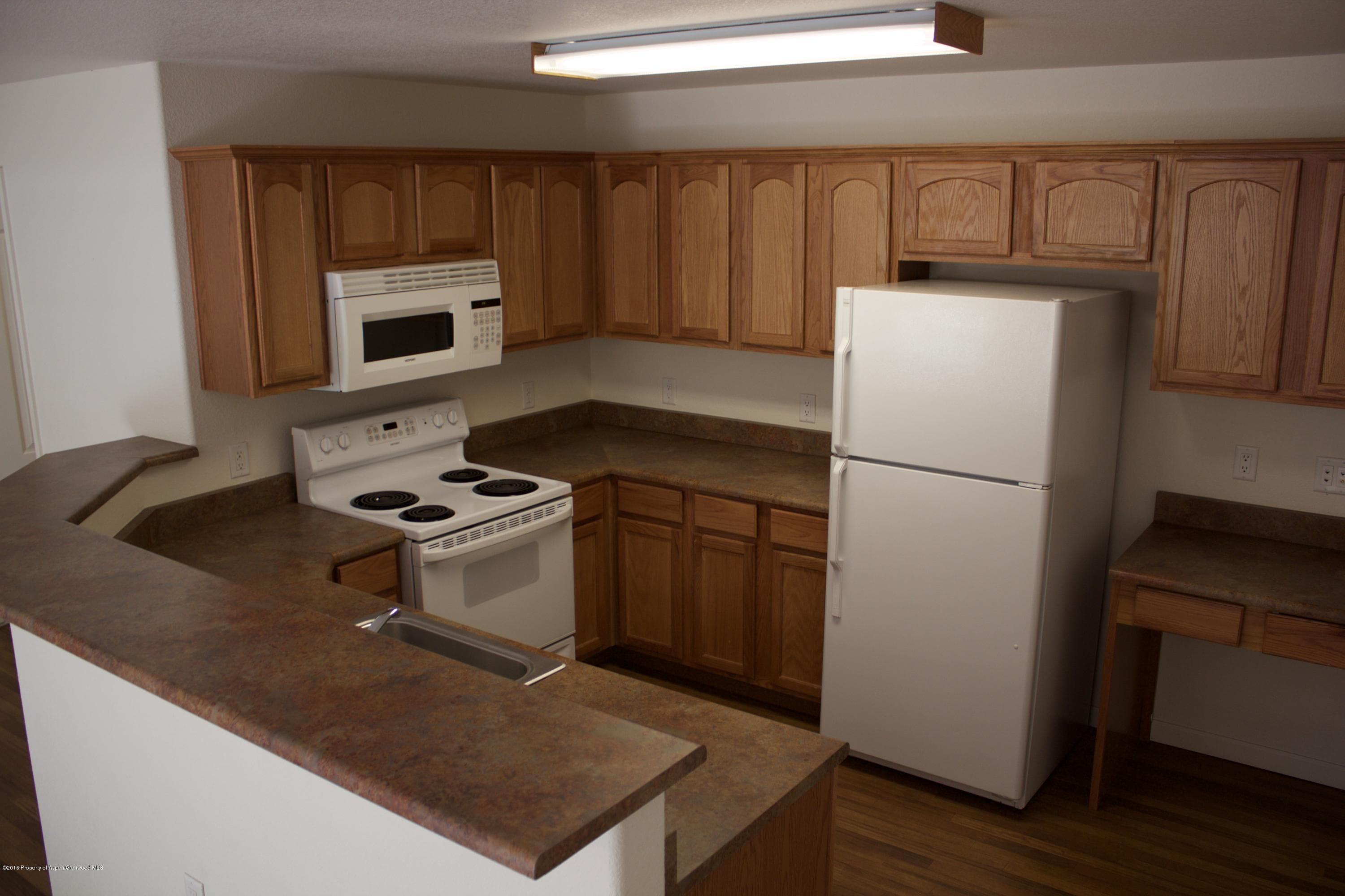 560 River View Drive 703, New Castle, CO 81647 - Photo 2
