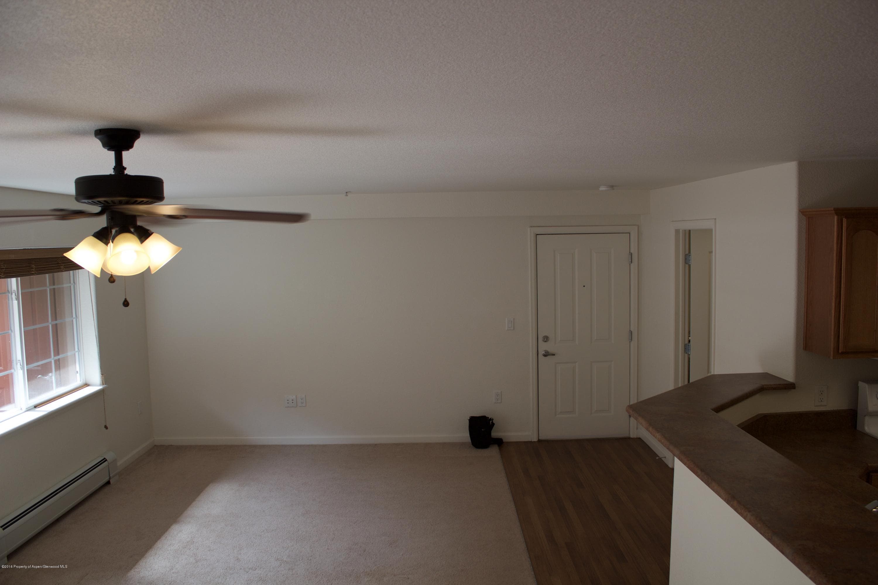 560 River View Drive 703, New Castle, CO 81647 - Photo 5