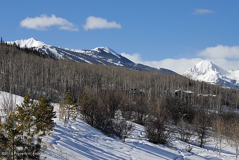 204 Gambel Way, Snowmass Village, CO 81615 - Photo 4