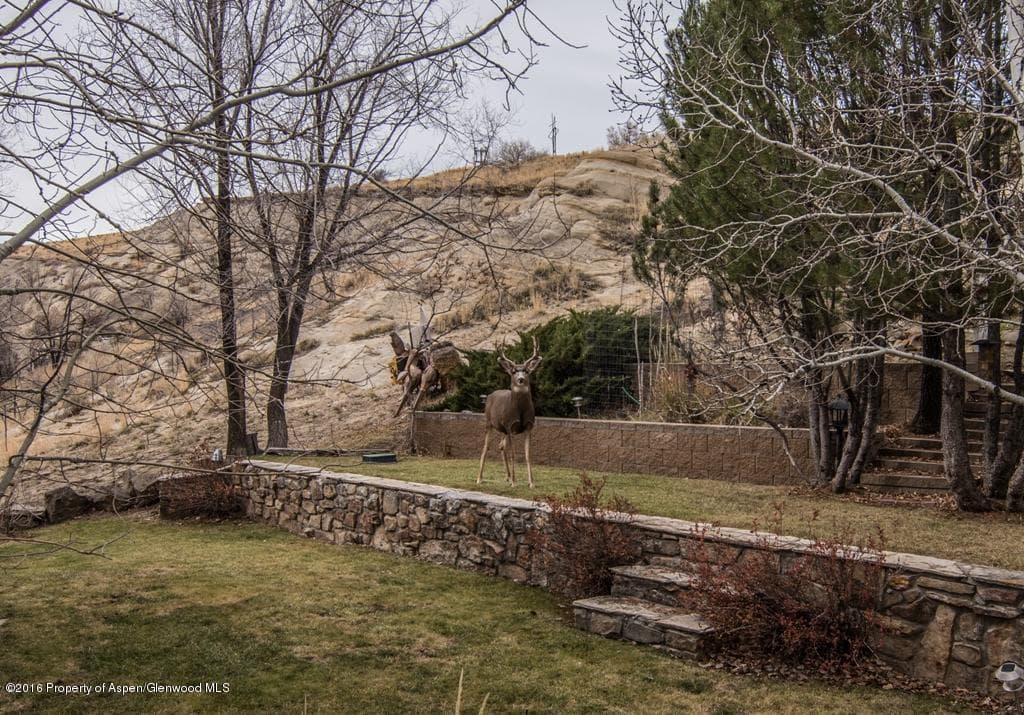 323 Sandrock Drive, Craig, CO 81625 - Photo 3