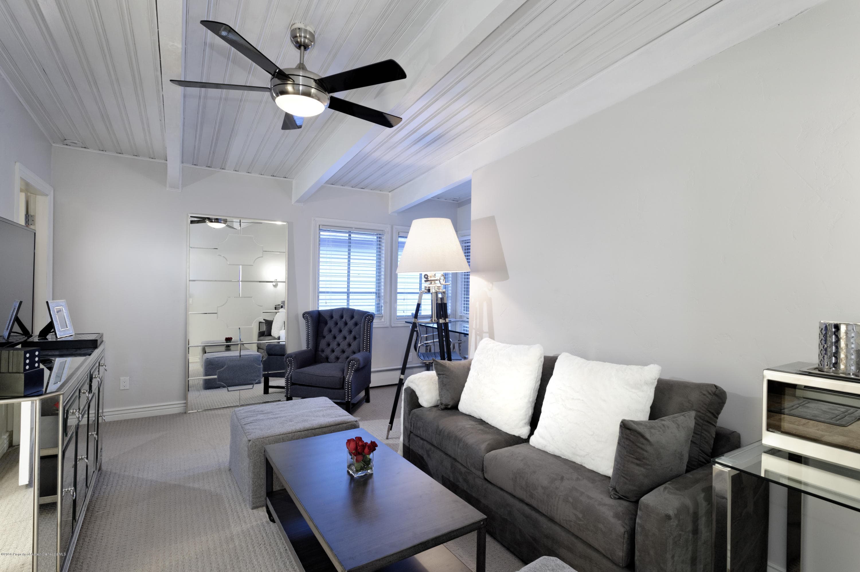 118 E Cooper Avenue, Aspen, CO 81611 - Photo 12