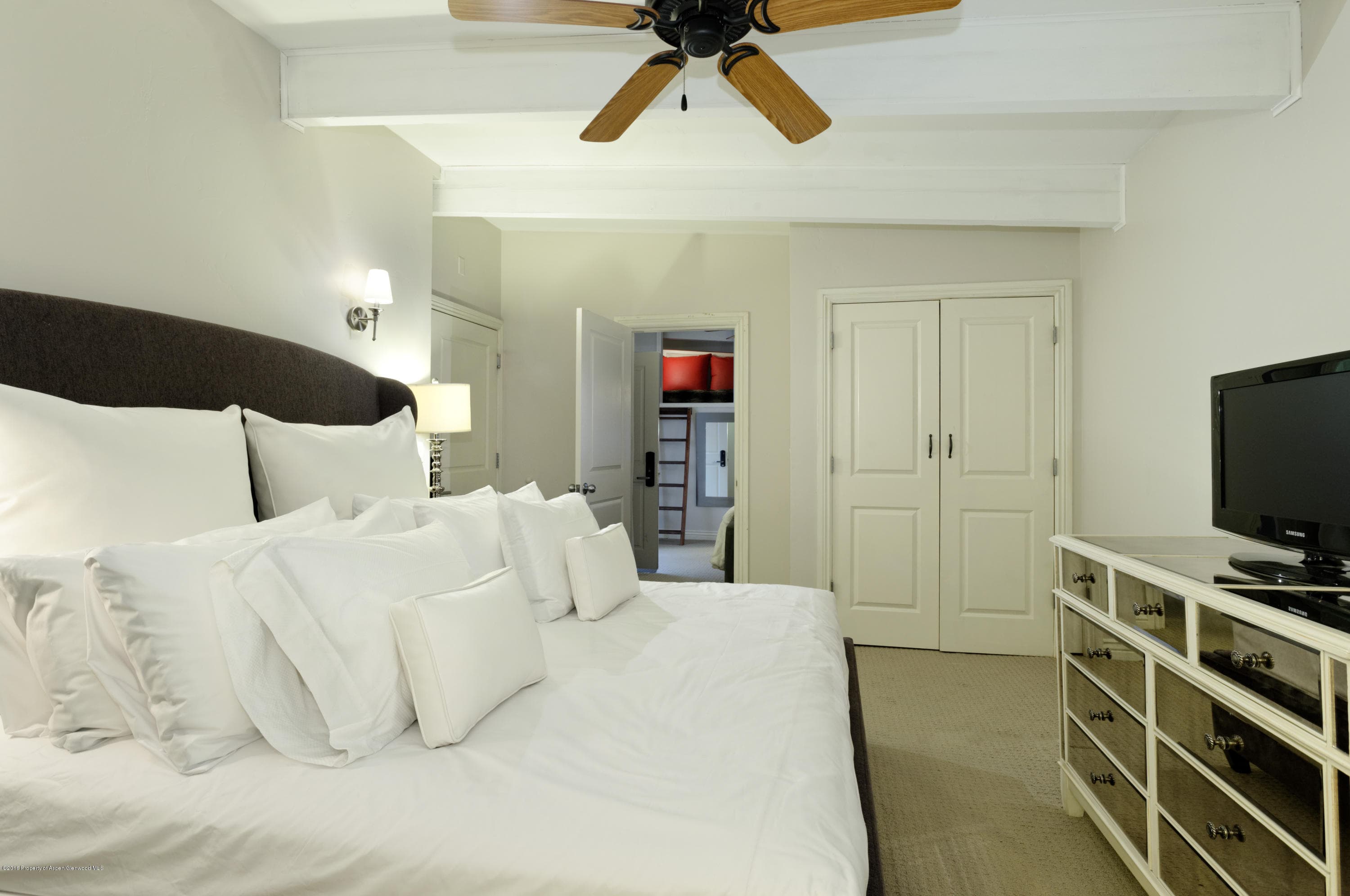 118 E Cooper Avenue, Aspen, CO 81611 - Photo 14