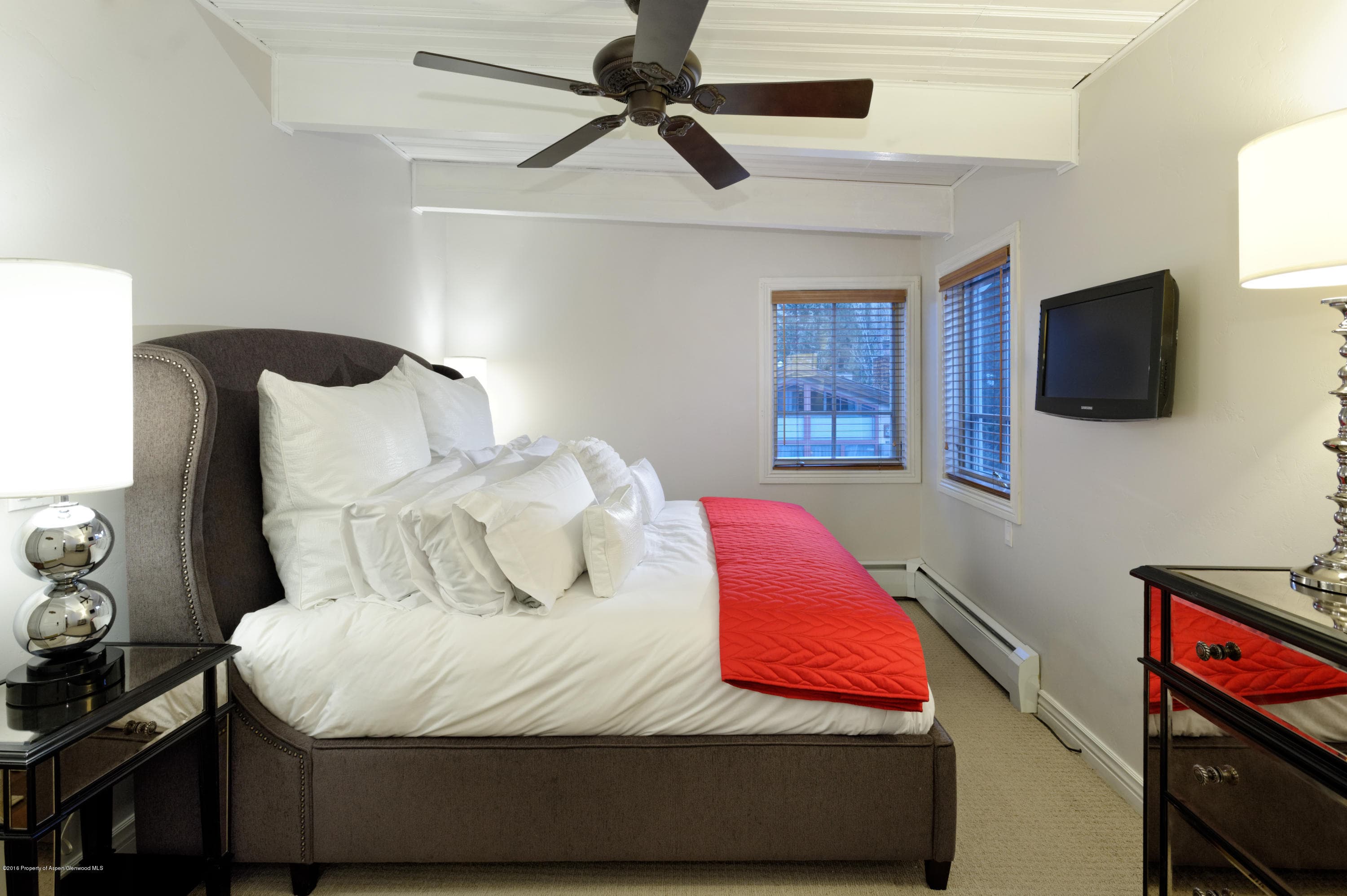118 E Cooper Avenue, Aspen, CO 81611 - Photo 15
