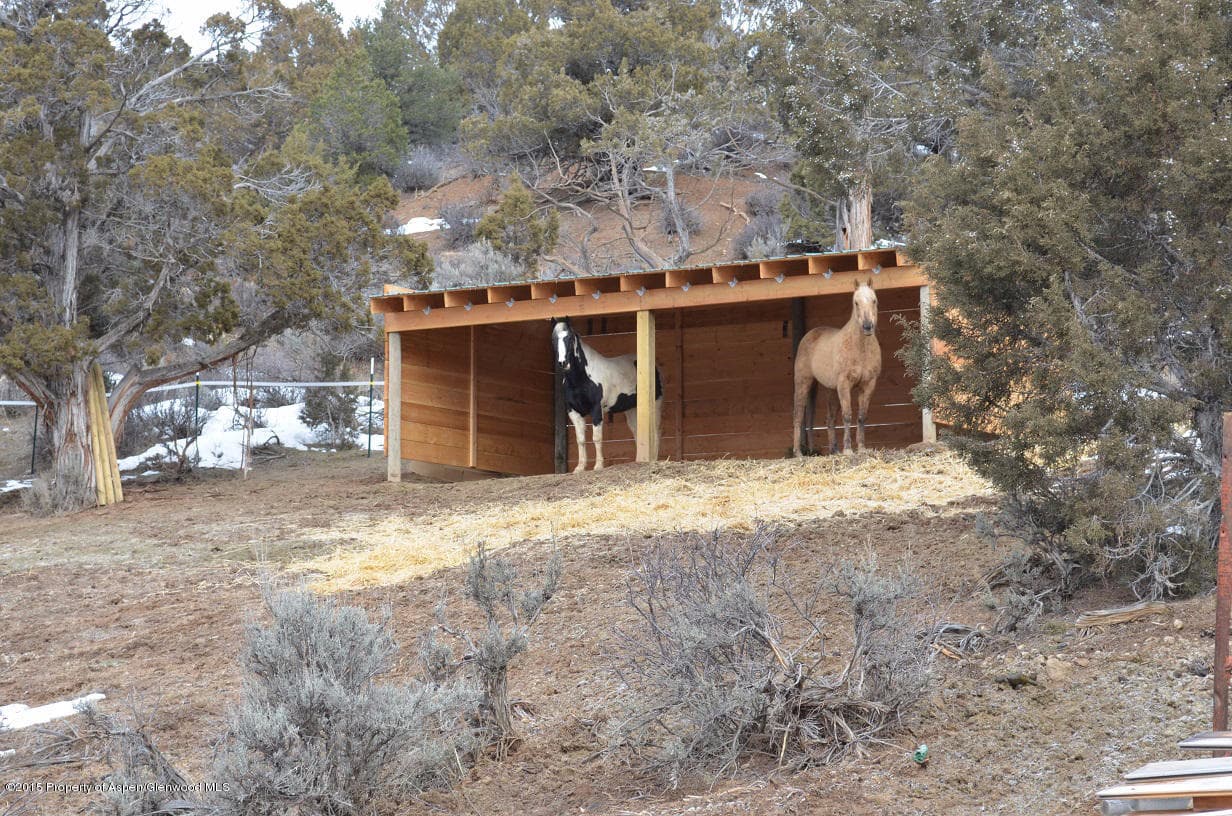142 Happy Dog Trail, Rifle, CO 81650 - Photo 23