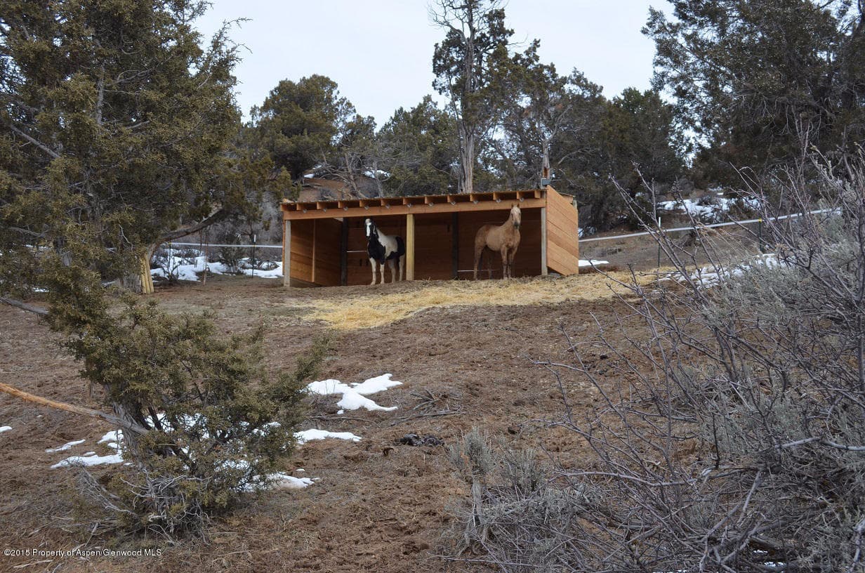 142 Happy Dog Trail, Rifle, CO 81650 - Photo 24