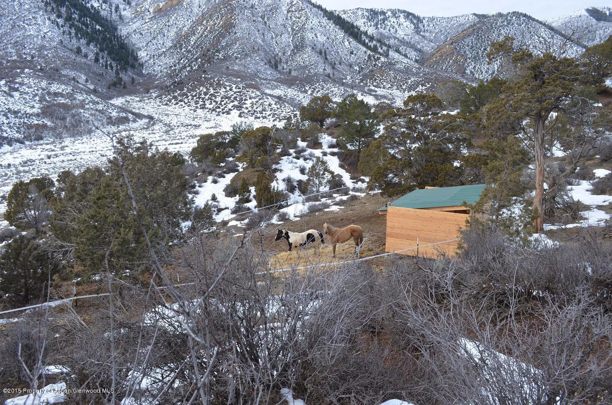 142 Happy Dog Trail, Rifle, CO 81650 - Photo 27