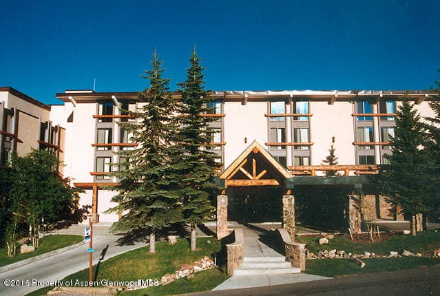 300 Carriage Way 203, Snowmass Village, CO 81615 - Photo 7