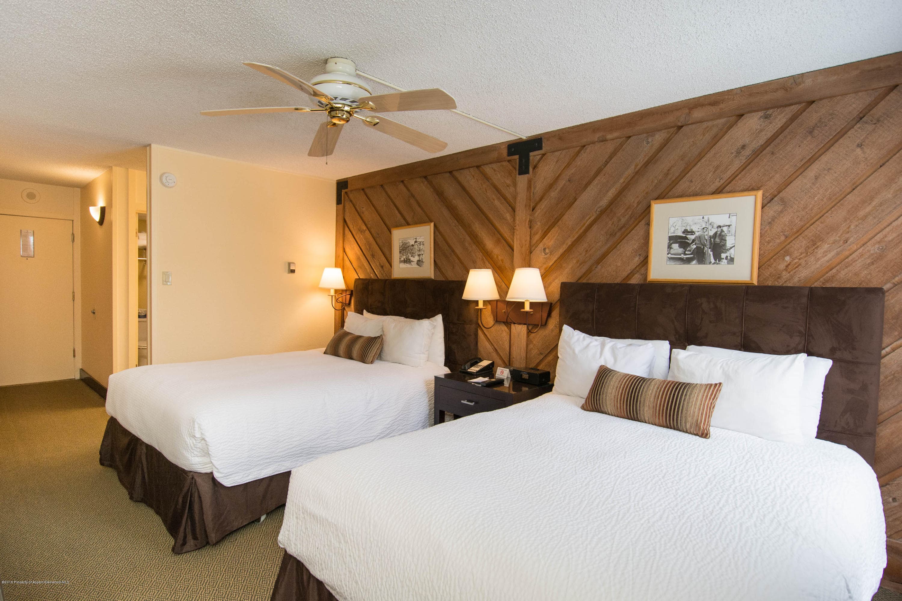 300 Carriage Way 203, Snowmass Village, CO 81615 - Photo 3
