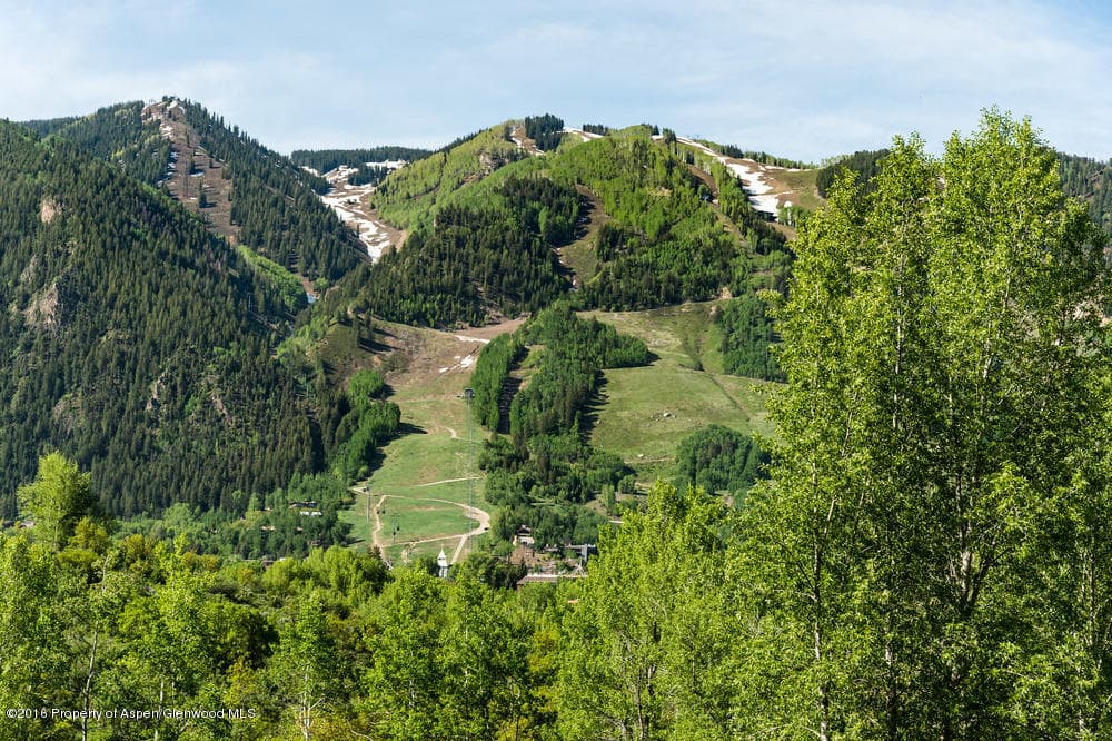 300 Red Mountain Road, Aspen, CO 81611 - Photo 12
