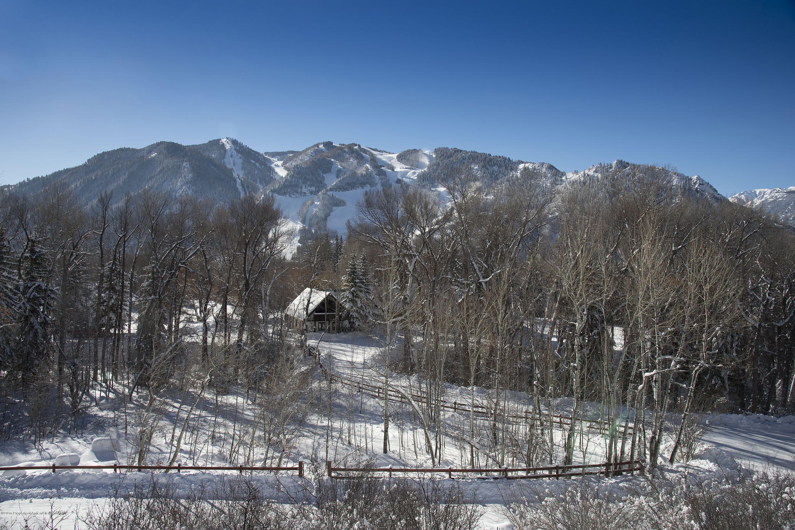 300 Red Mountain Road, Aspen, CO 81611 - Photo 10